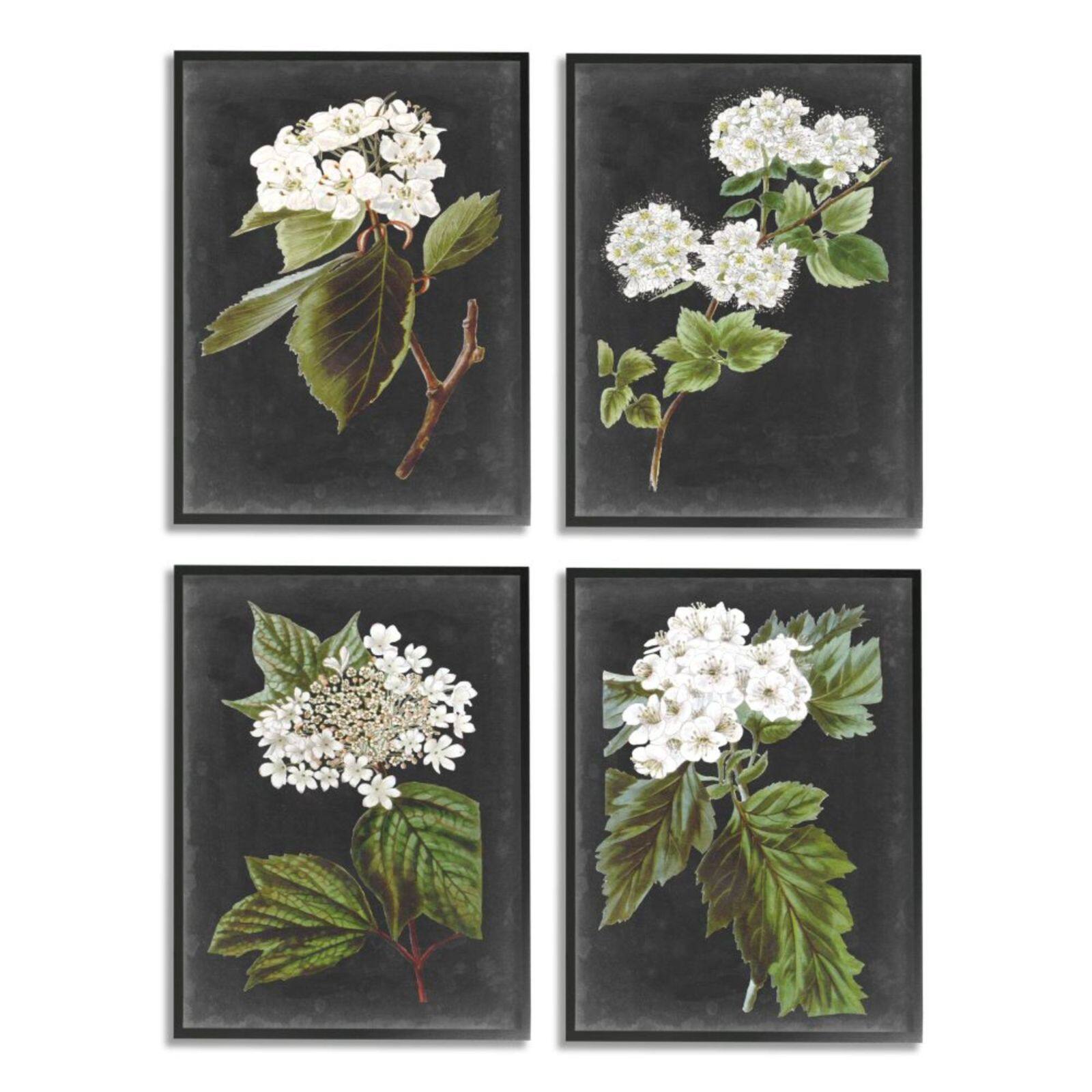 Stupell Industries Gray with White Cottage Florals Black Framed Wall Art