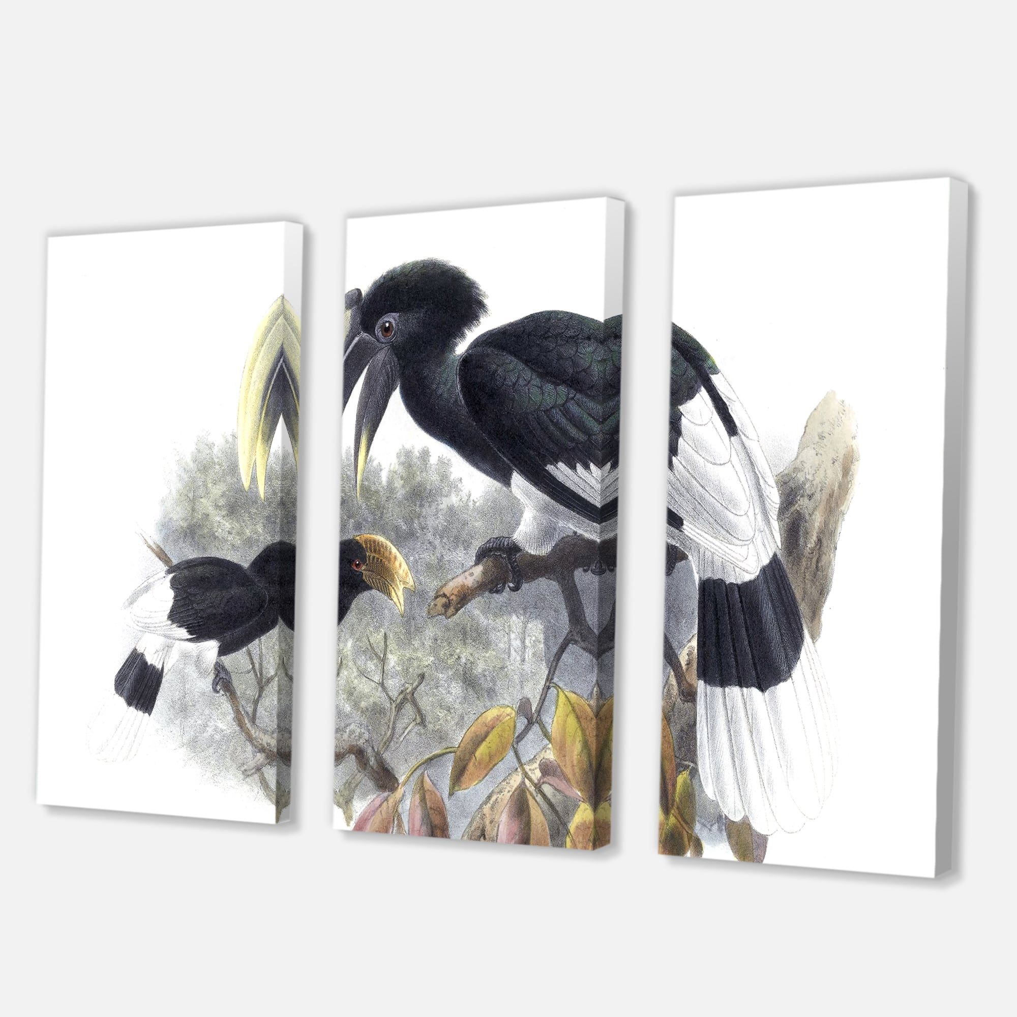 Designart - Vintage Bird Illustration I