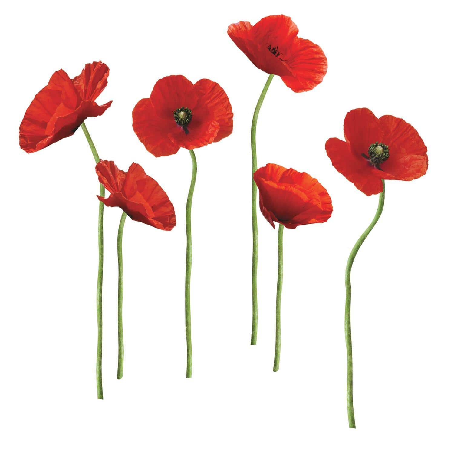 RoomMates Red Poppies At Play & Stick Giant Wall Decals | Michaels