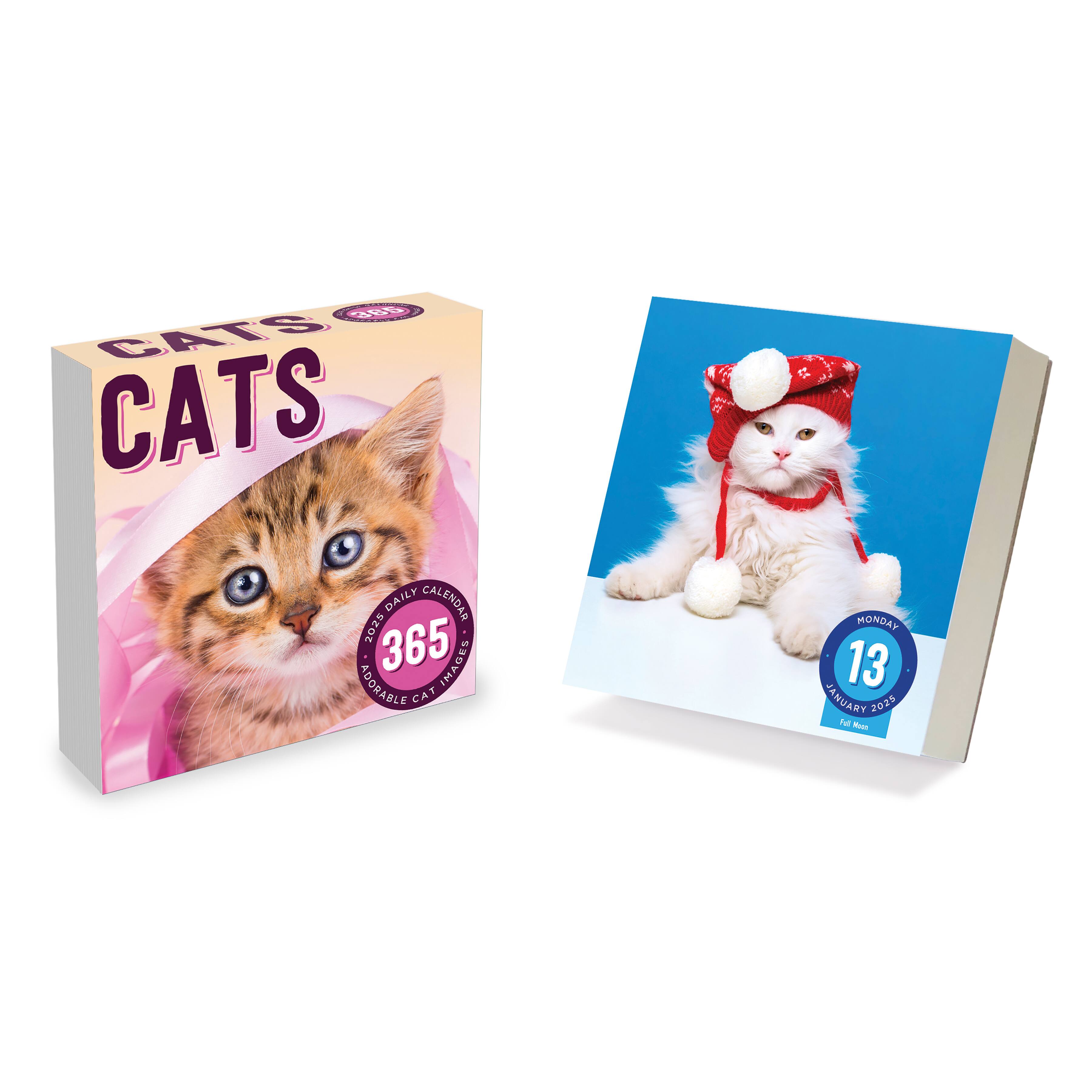 TF Publishing 2025 Cat A Day Daily Desktop Calendar