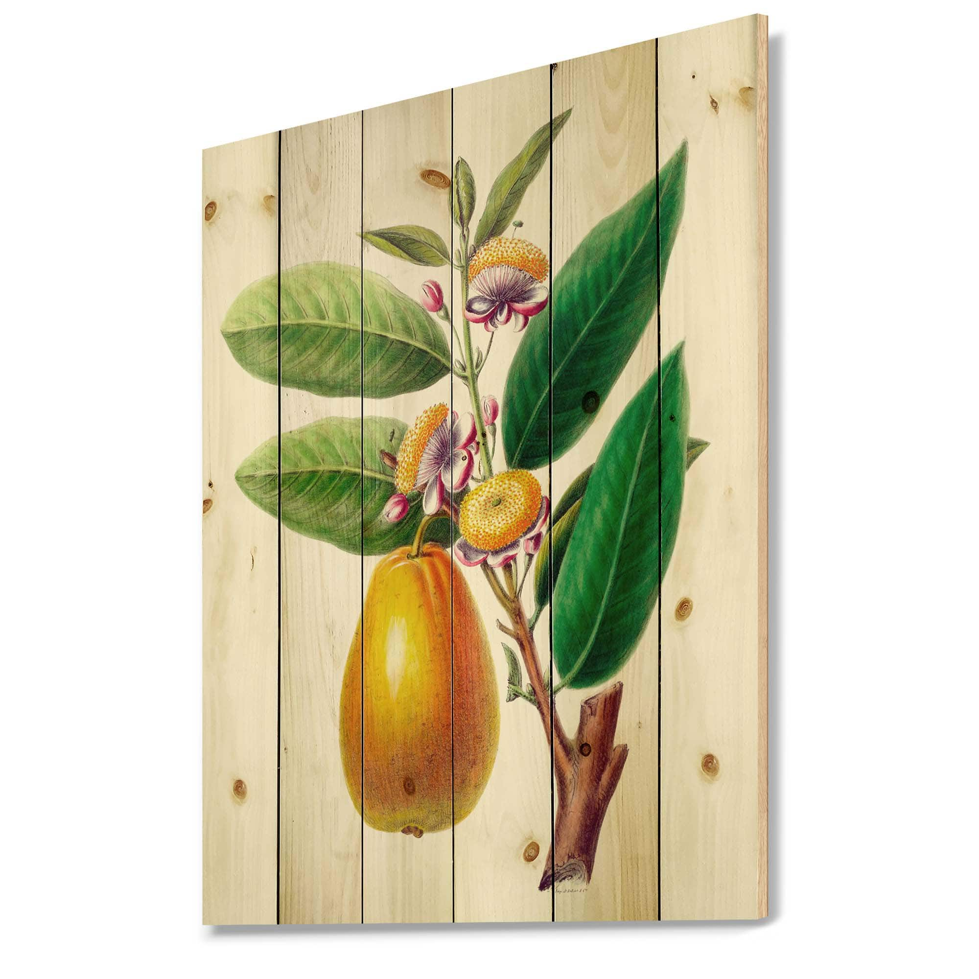 Designart - Vintage Fruits I - Farmhouse Print on Natural Pine Wood