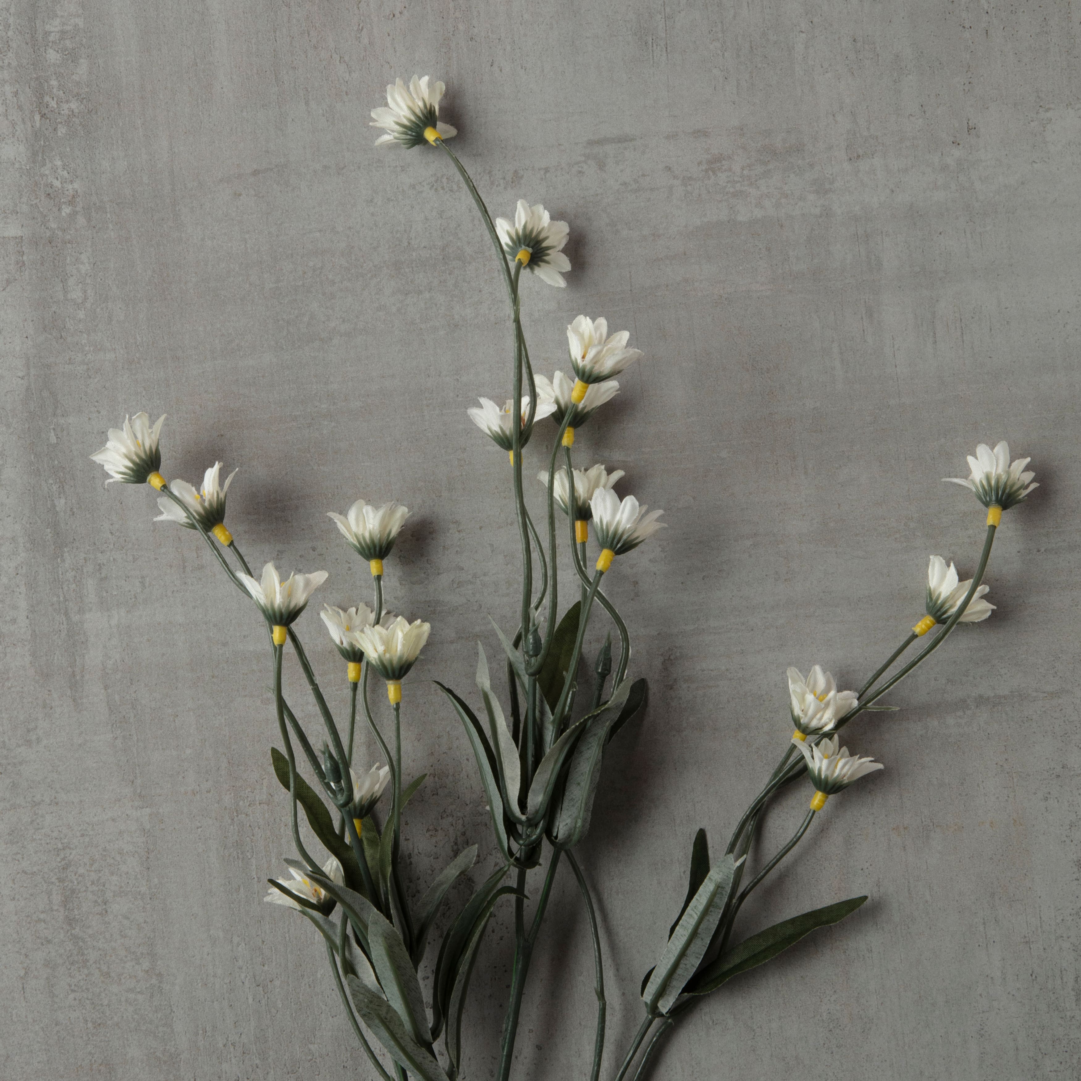 Cream Wild Daisy Spray by Ashland®