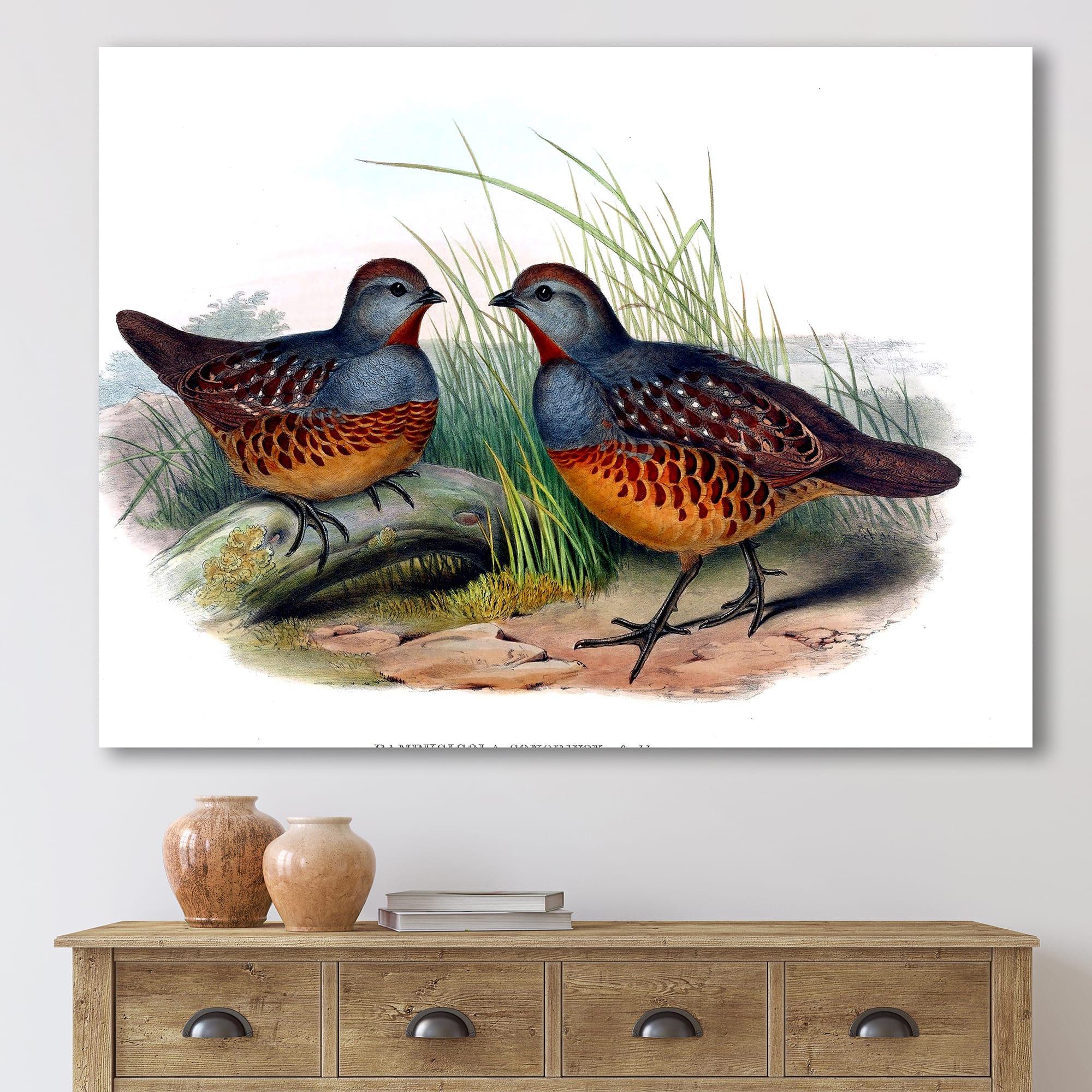 Designart - Vintage Birds In The Wild VII - Traditional Canvas Wall Art Print