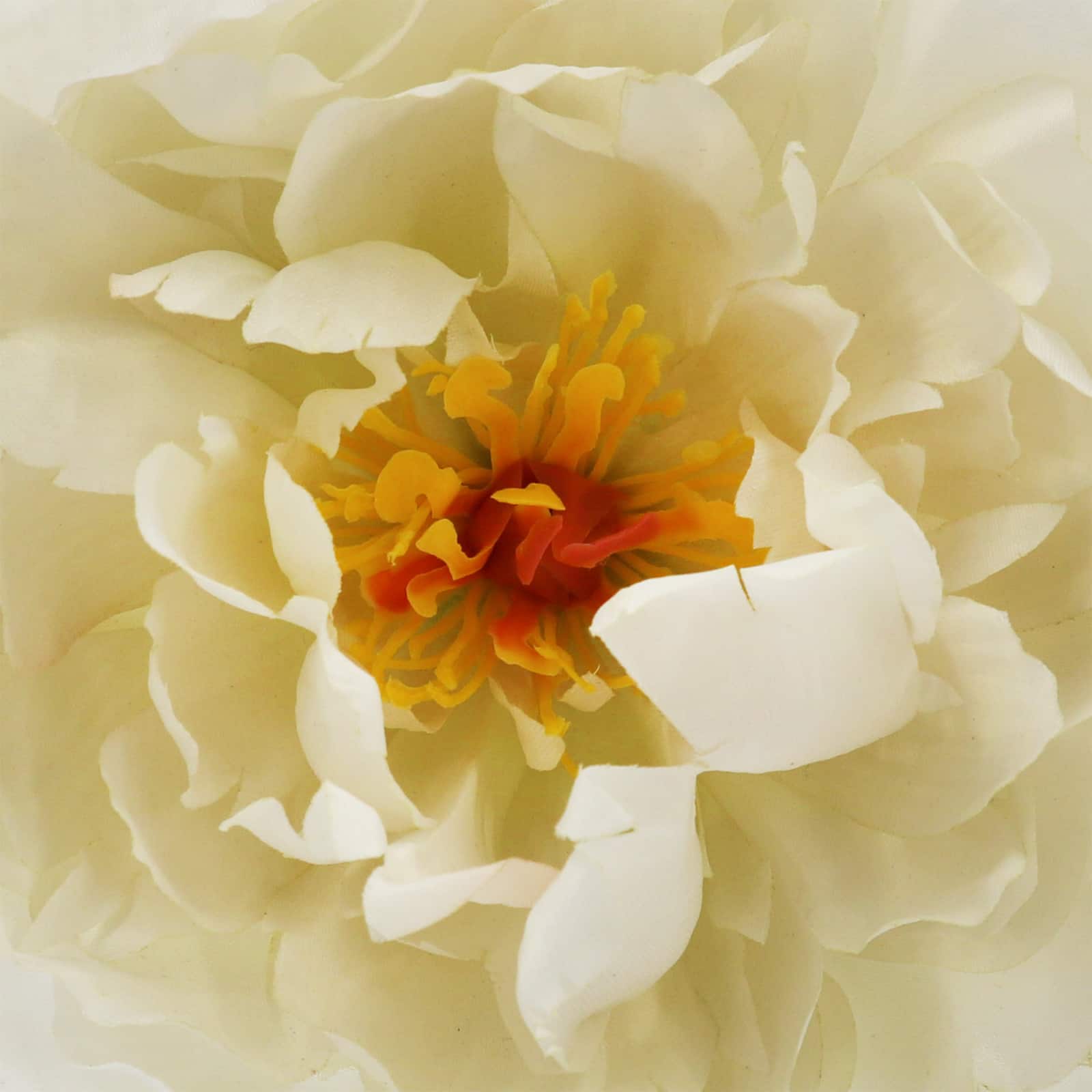 6.5" Peony Floral Accent by Ashland