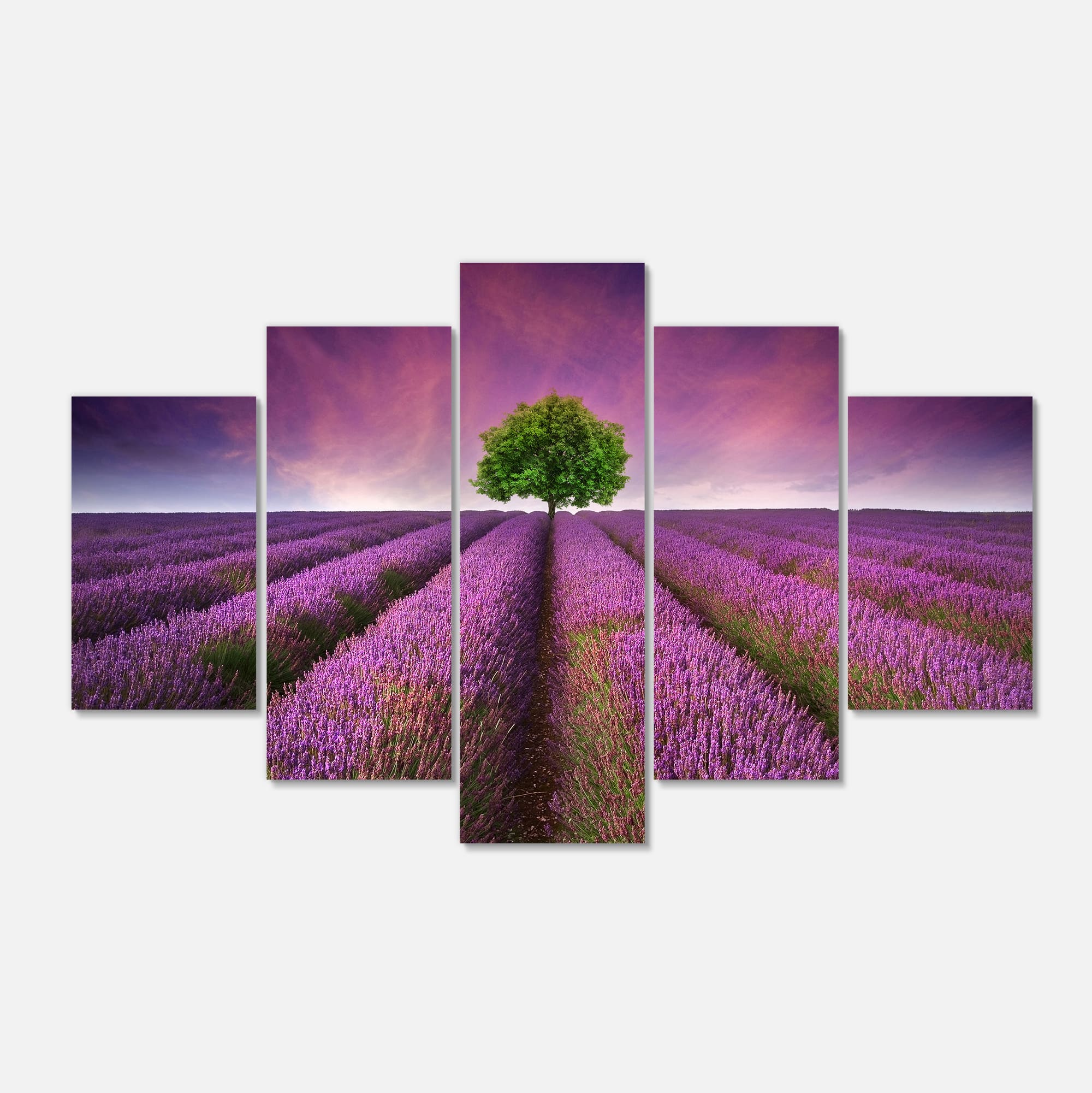 Designart - Lavender Field Sunset with Single Tree - Floral Canvas Art Print