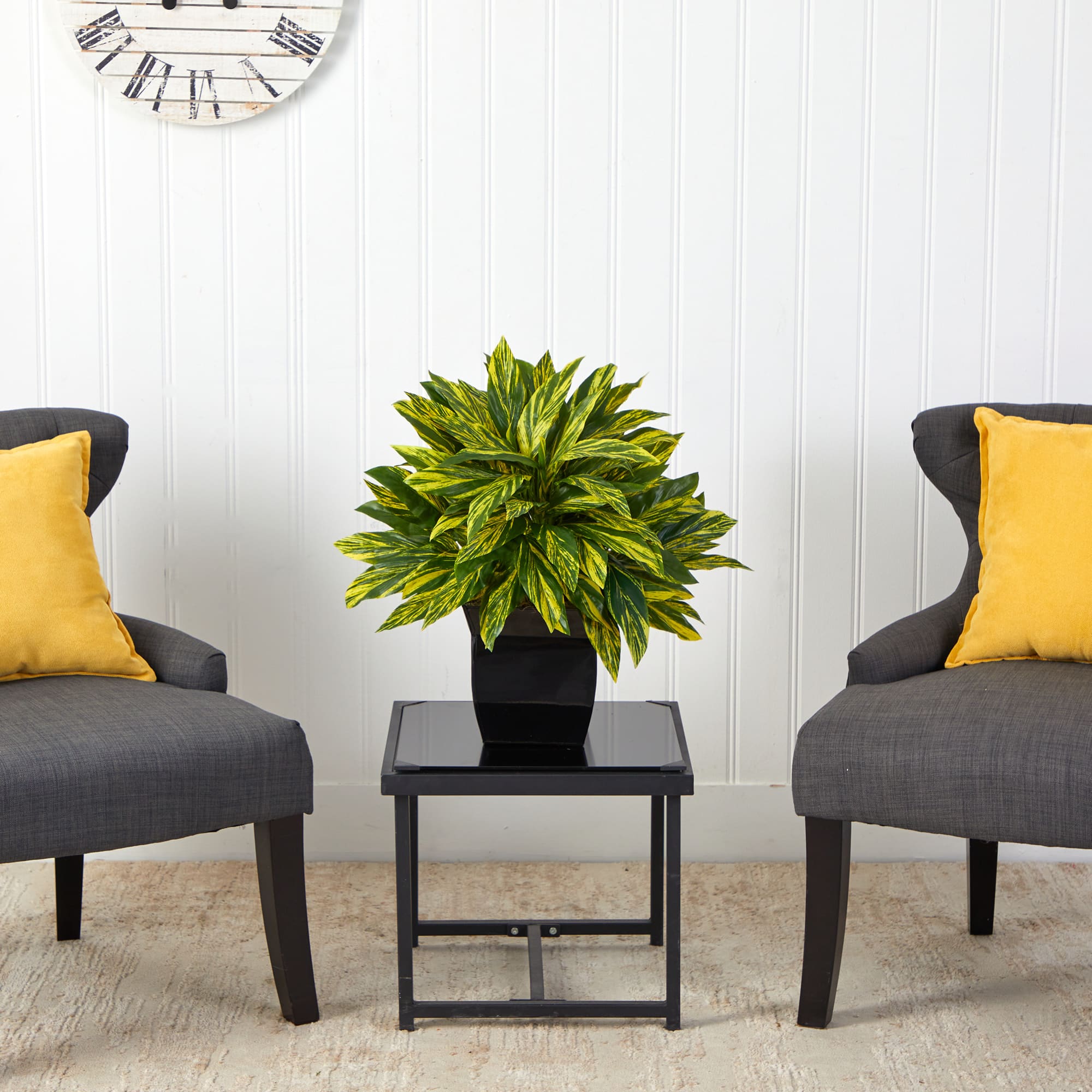 18" Spiderwort Plant in Black Metal Planter