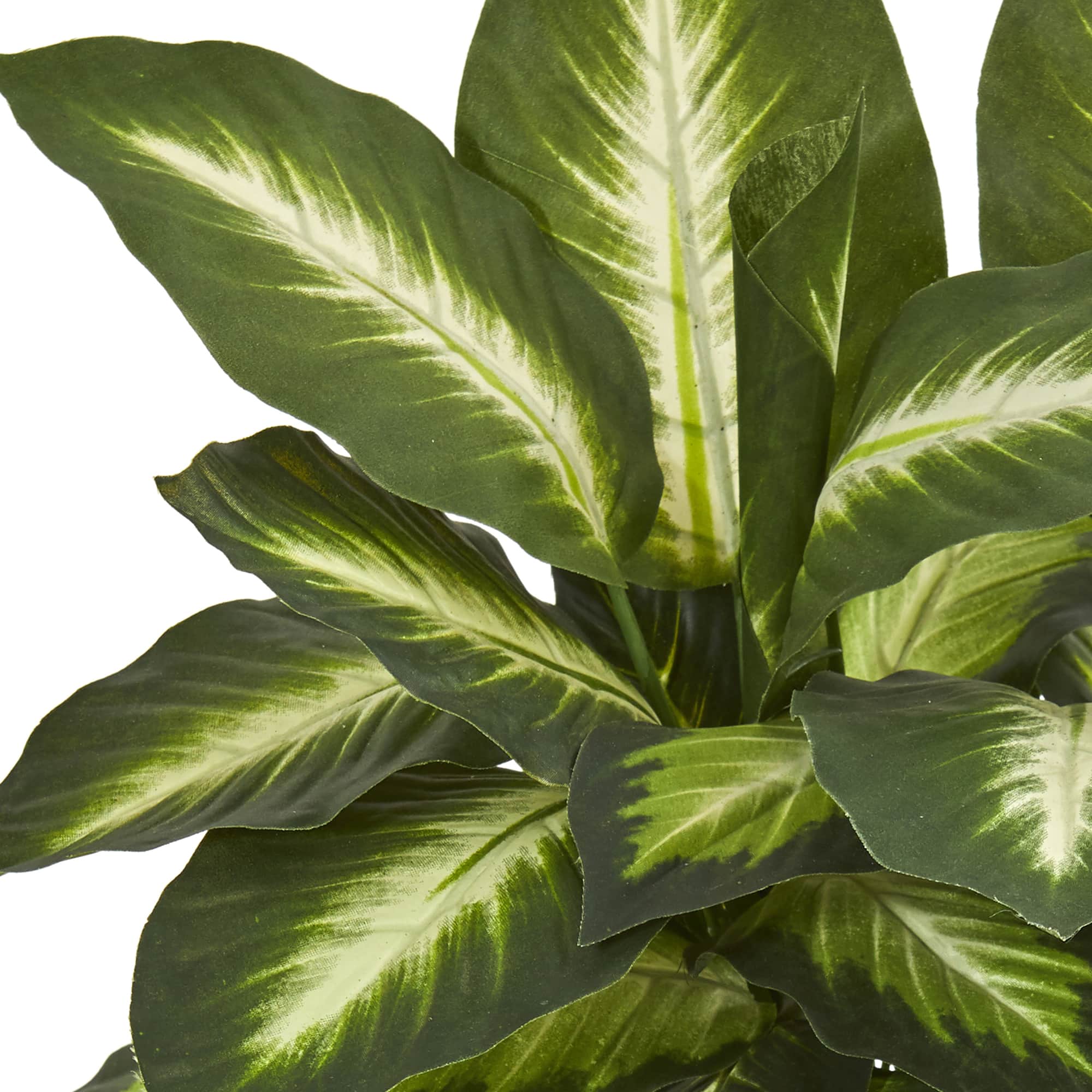 18" Dieffenbachia Tree In Ceramic Planter