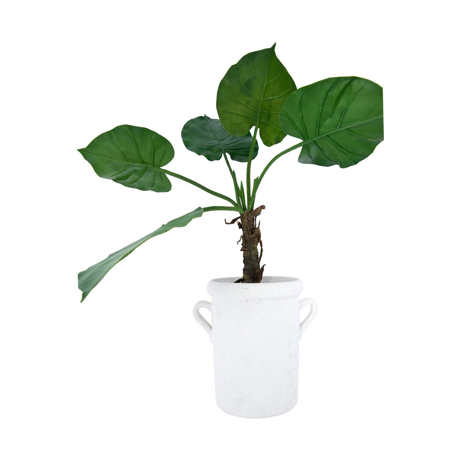 Hello Honey® 11" Glazed Decorative Coarse Terracotta Crock with Handles