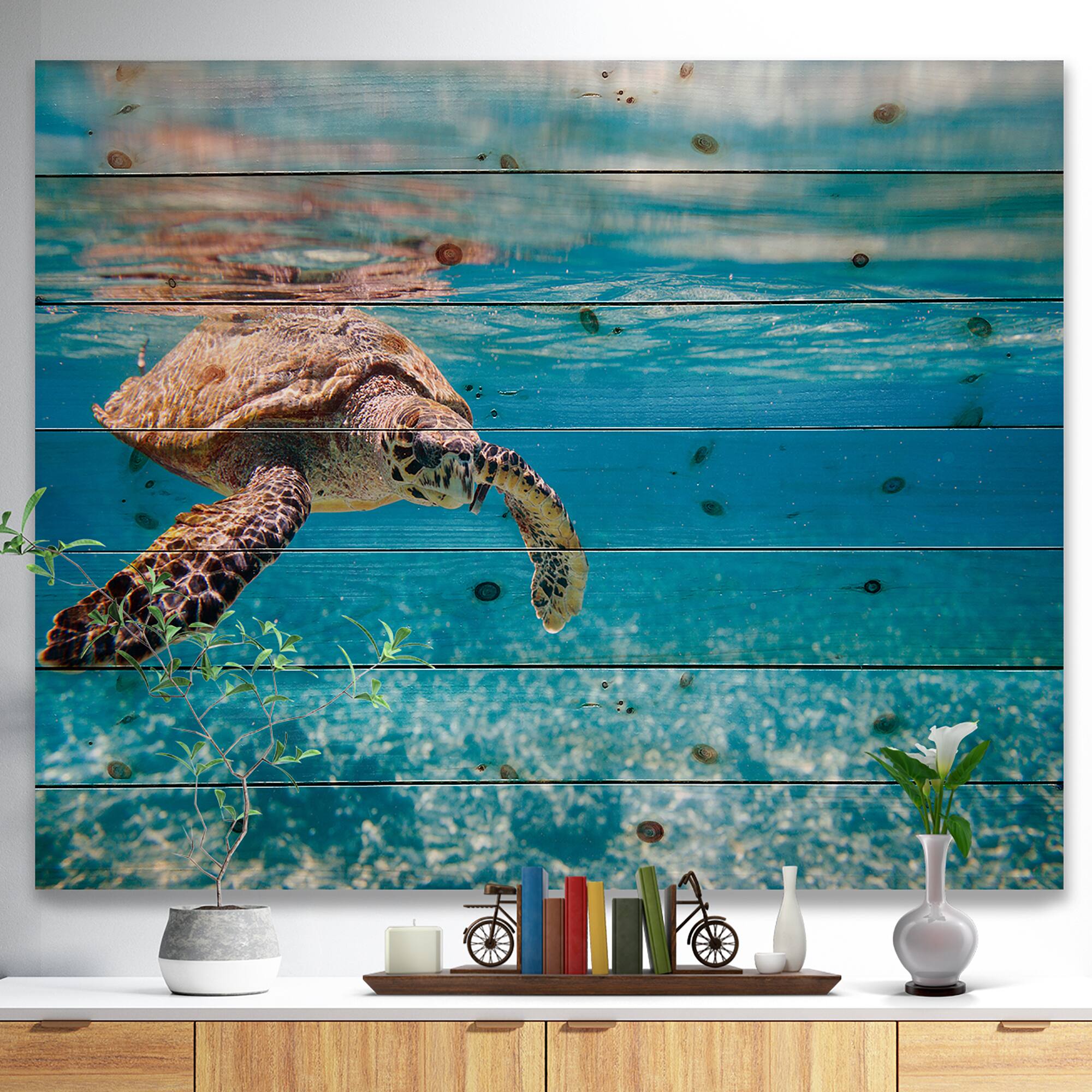 Designart - Large Hawksbill Sea Turtle