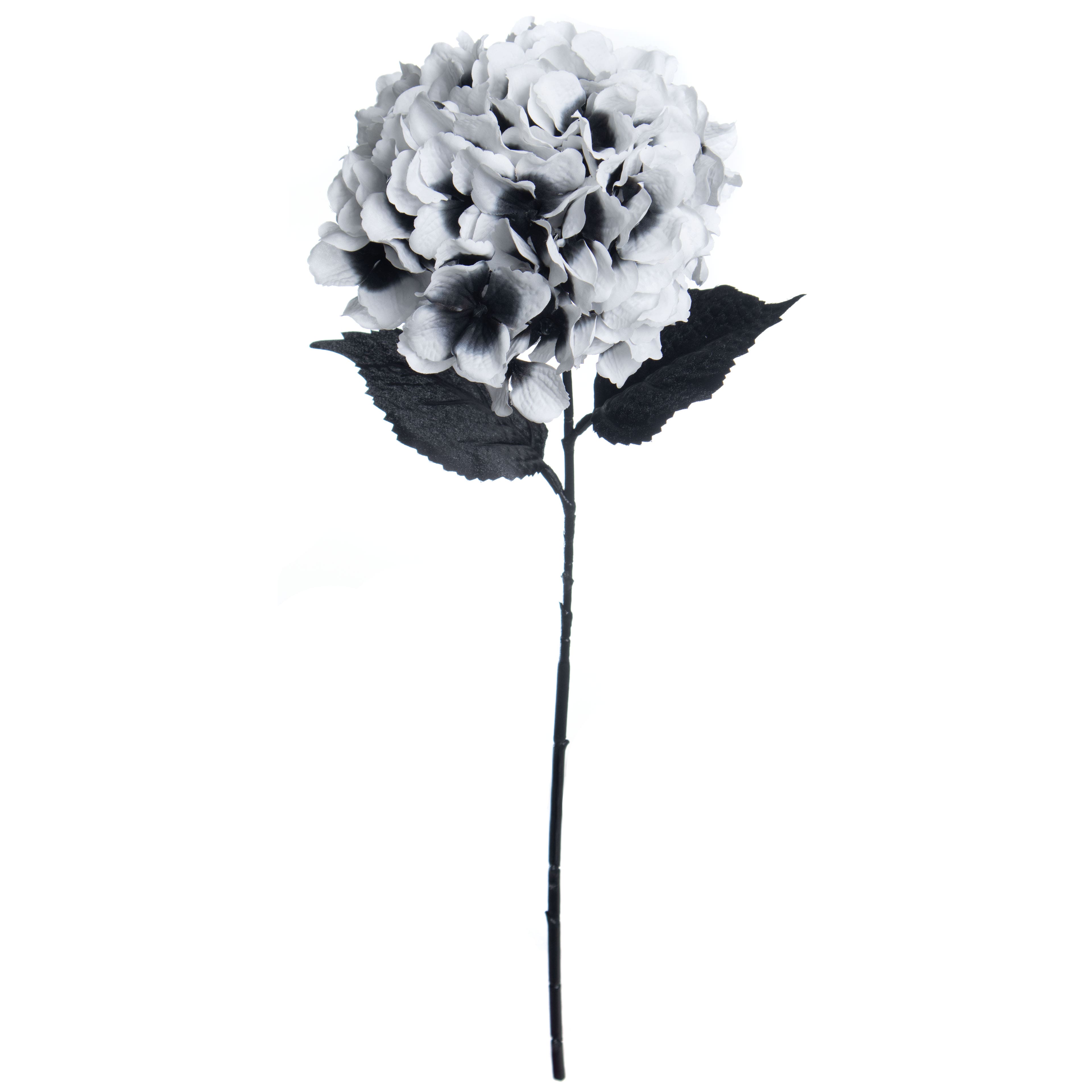 24&#x22; Black &#x26; White Hydrangea Stem by Ashland&#xAE;