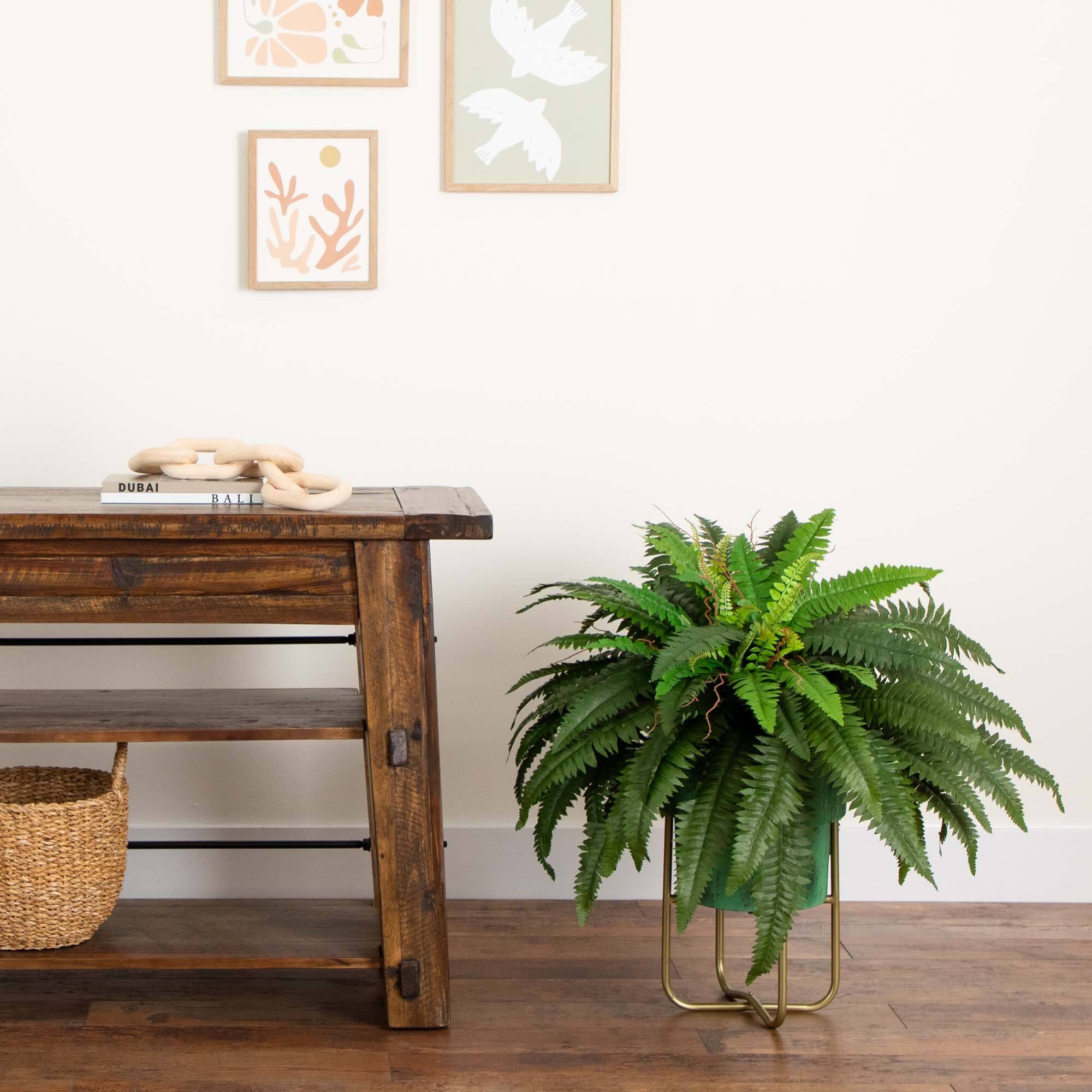 3ft. Boston Fern in Brass Metal Planter with Stand