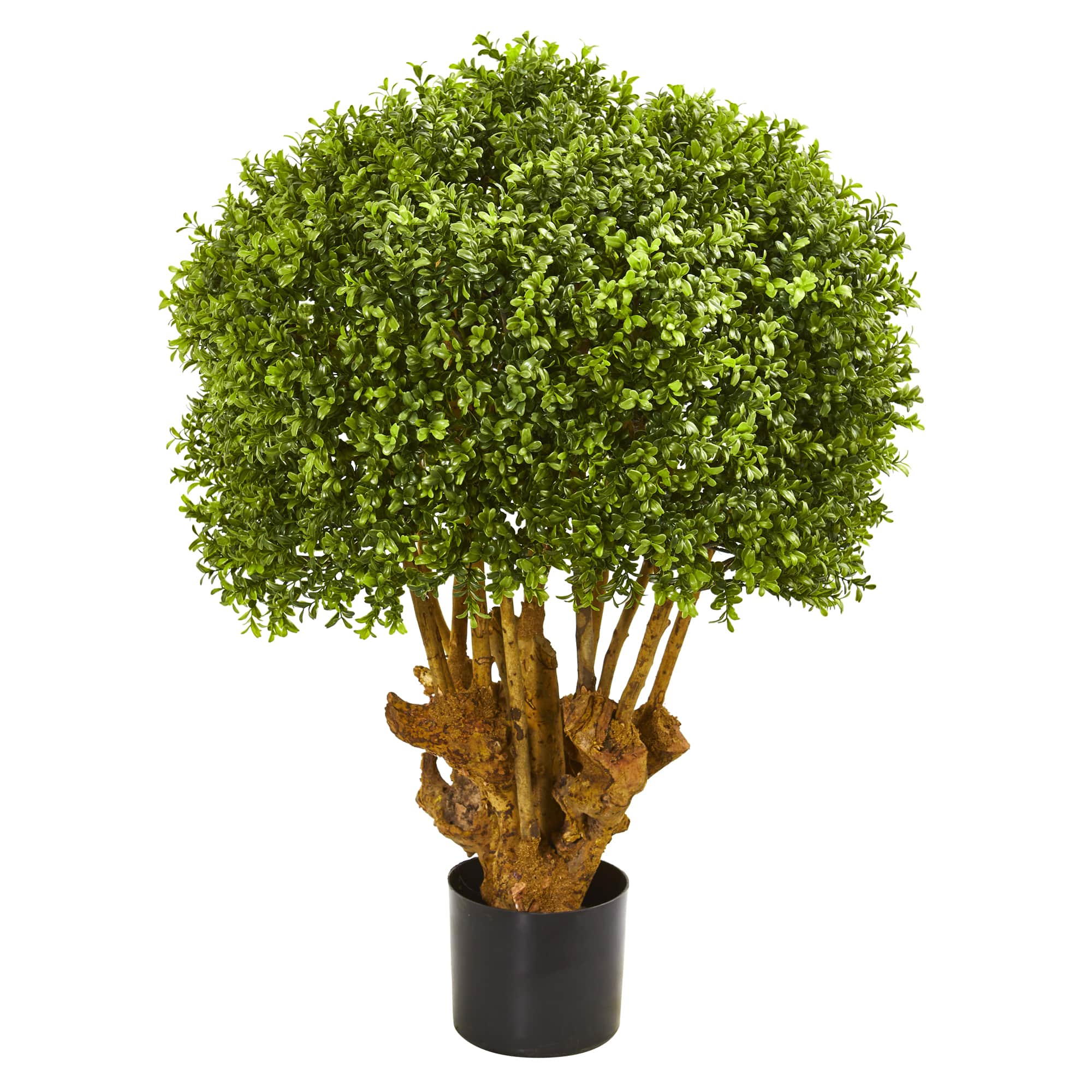 3ft. Potted Boxwood Topiary Tree