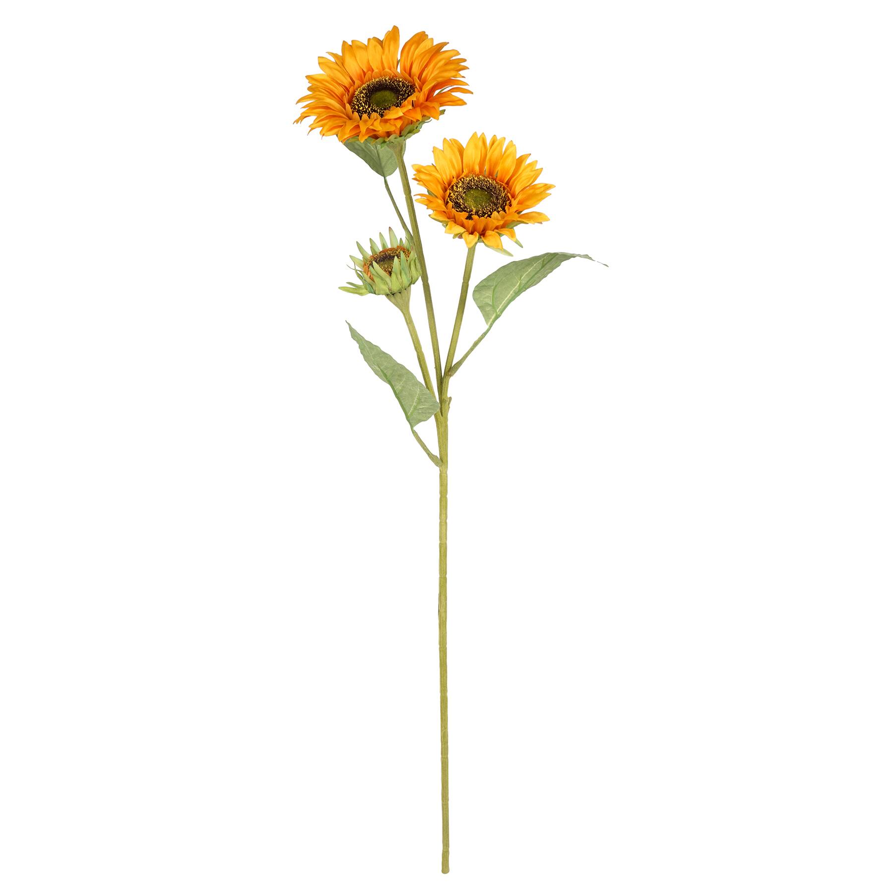 Free Free 300 Clipart Sunflower Stem SVG PNG EPS DXF File