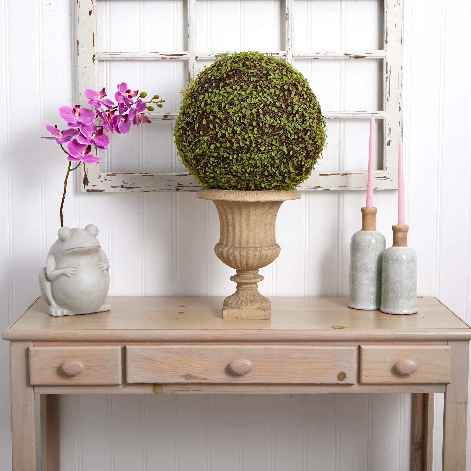 2.5ft. Mohlenbechia Ball in Black Tower Vase