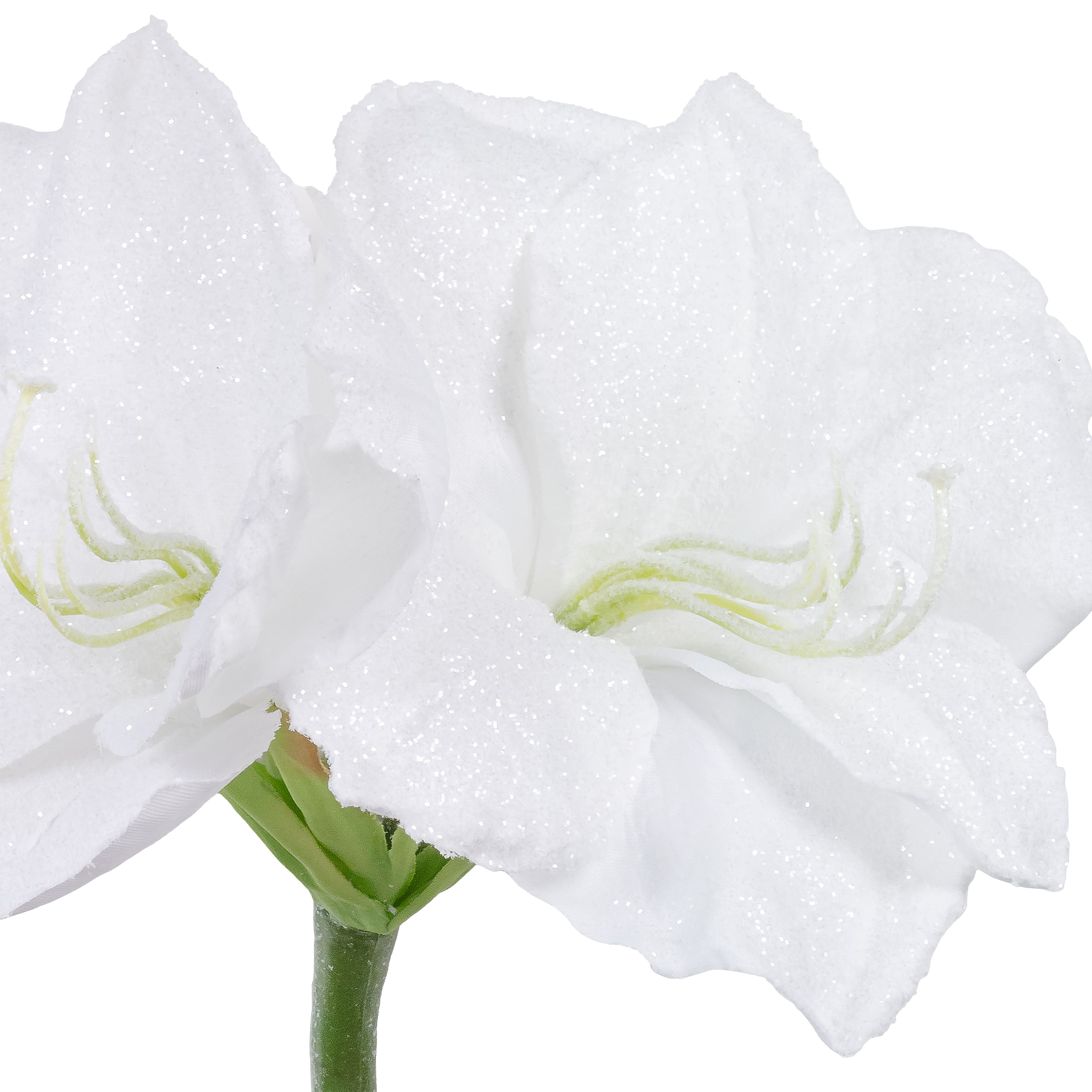 26&#x22; Snow White Amaryllis Stem by Ashland&#xAE;