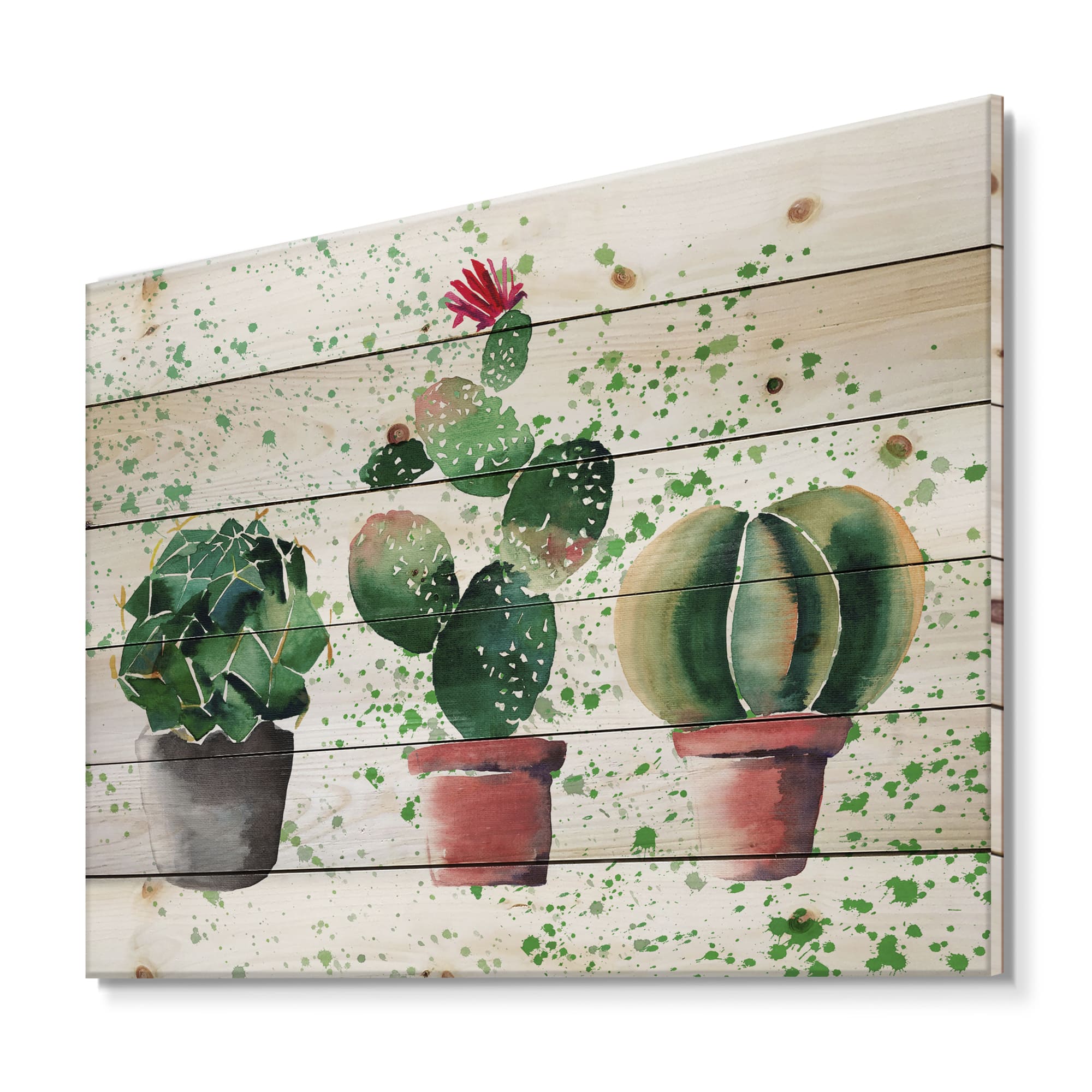 Designart - Three Cacti In Clay Pots - Botanical Print on Natural Pine Wood