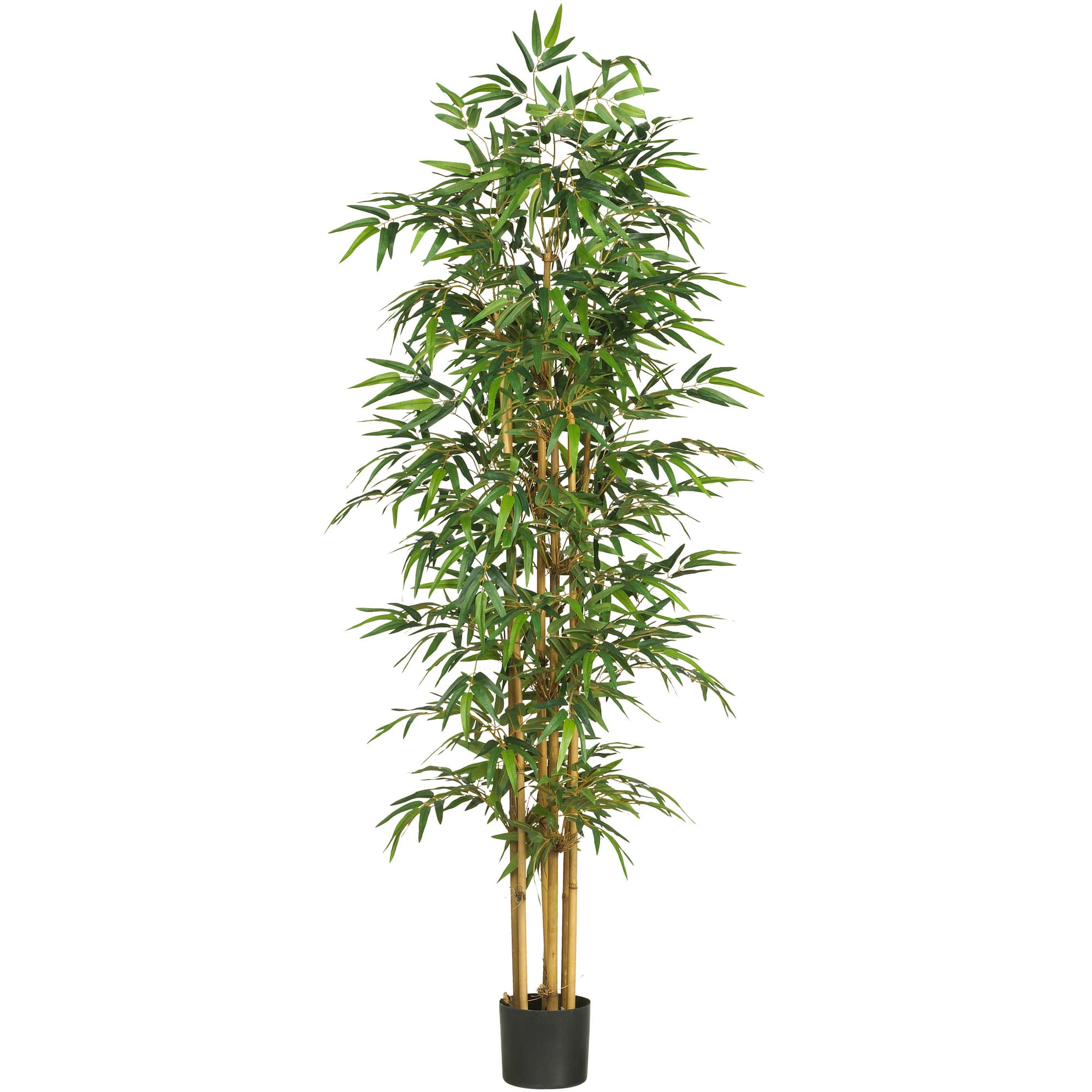 6ft. Potted Bamboo Silk Tree