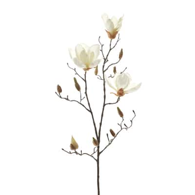 White Magnolia Branch Stem by Ashland® image