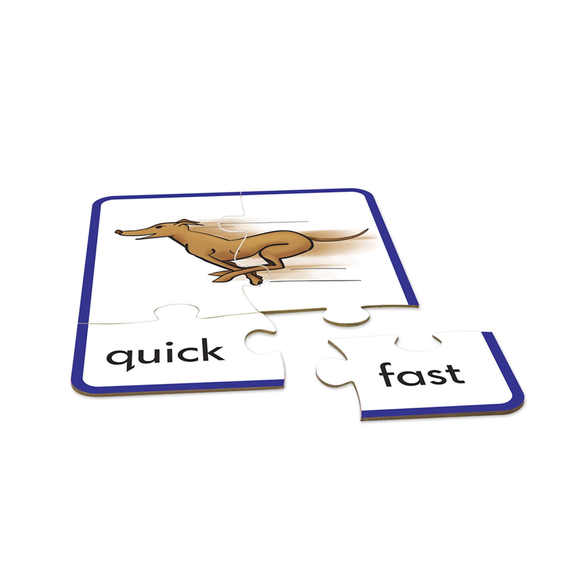 Junior Learning&#xAE; Synonym Puzzles