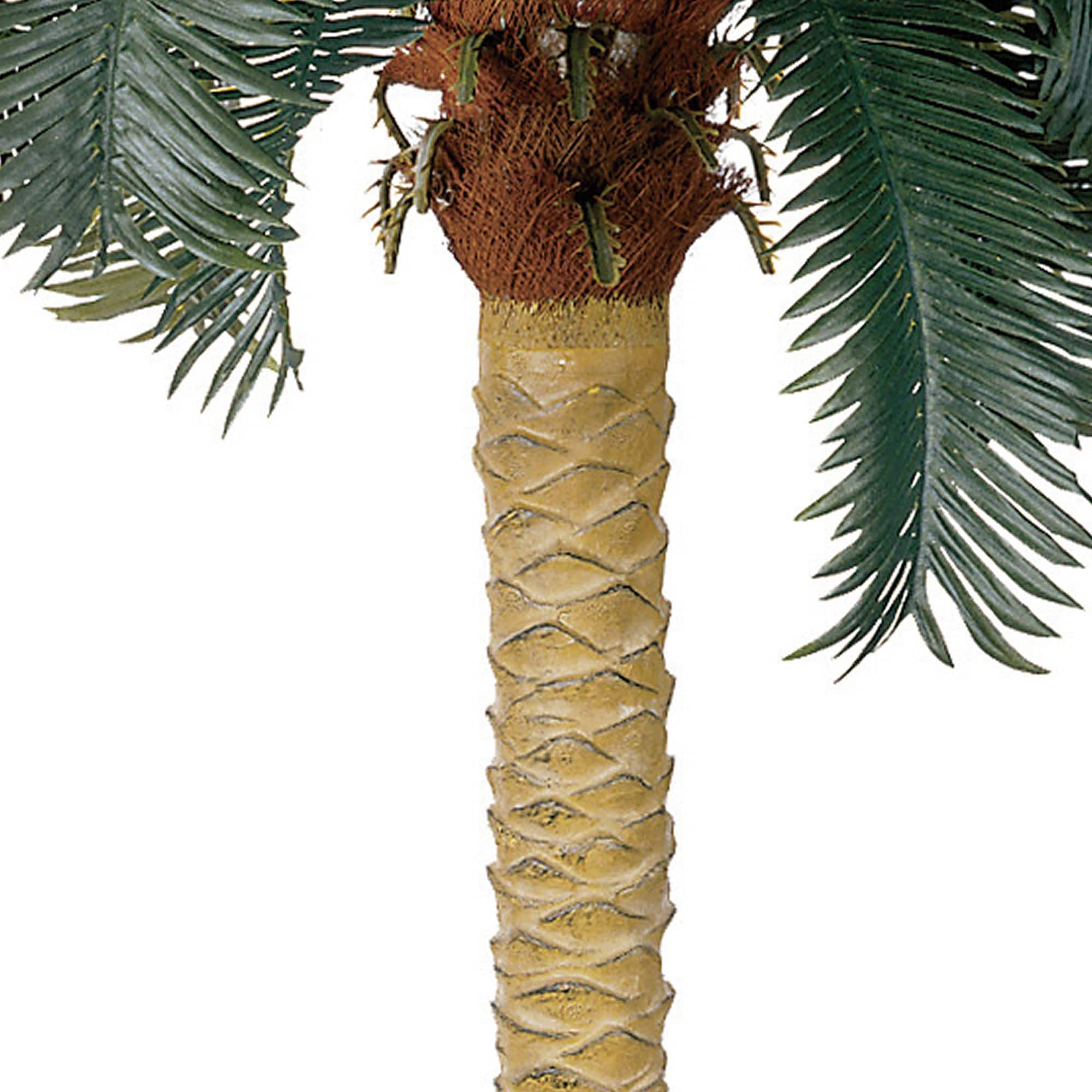 6ft. Sago Palm Tree in Wicker Basket Pot