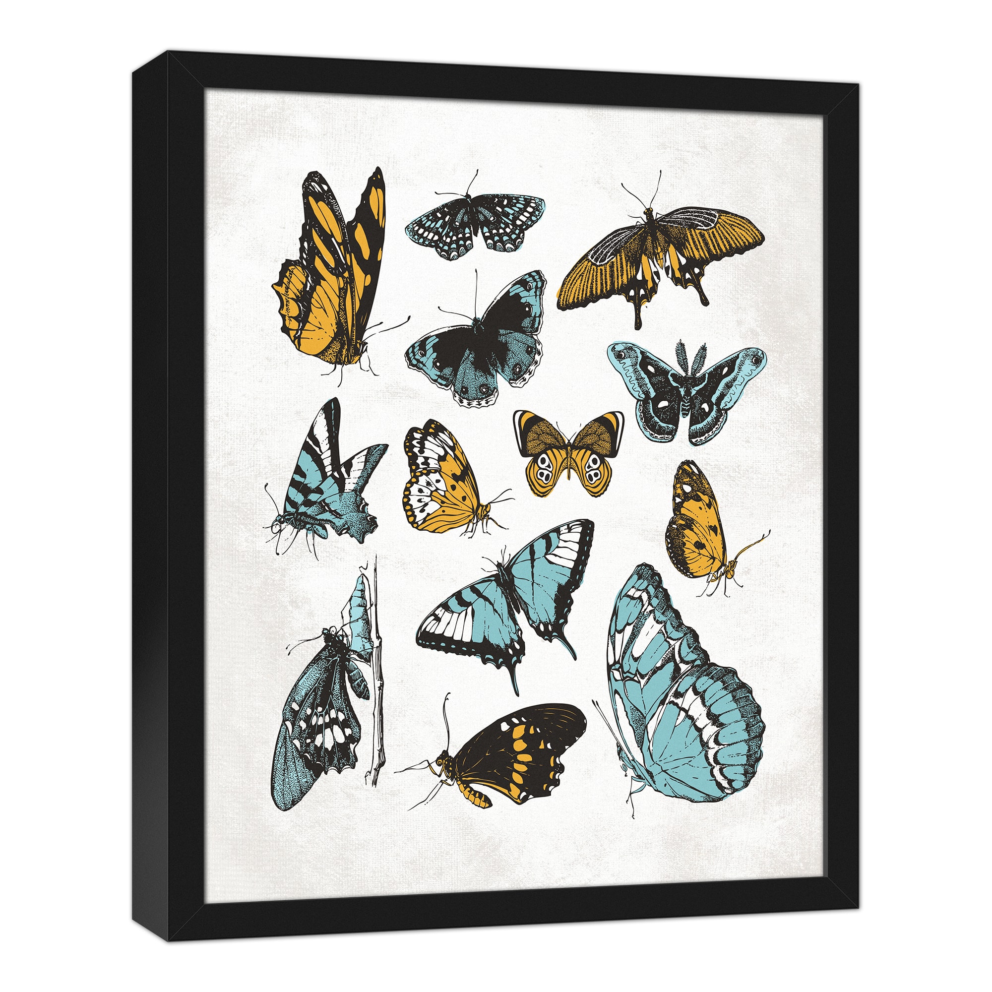 Vintage Butterflies Black Framed Canvas Wall Art