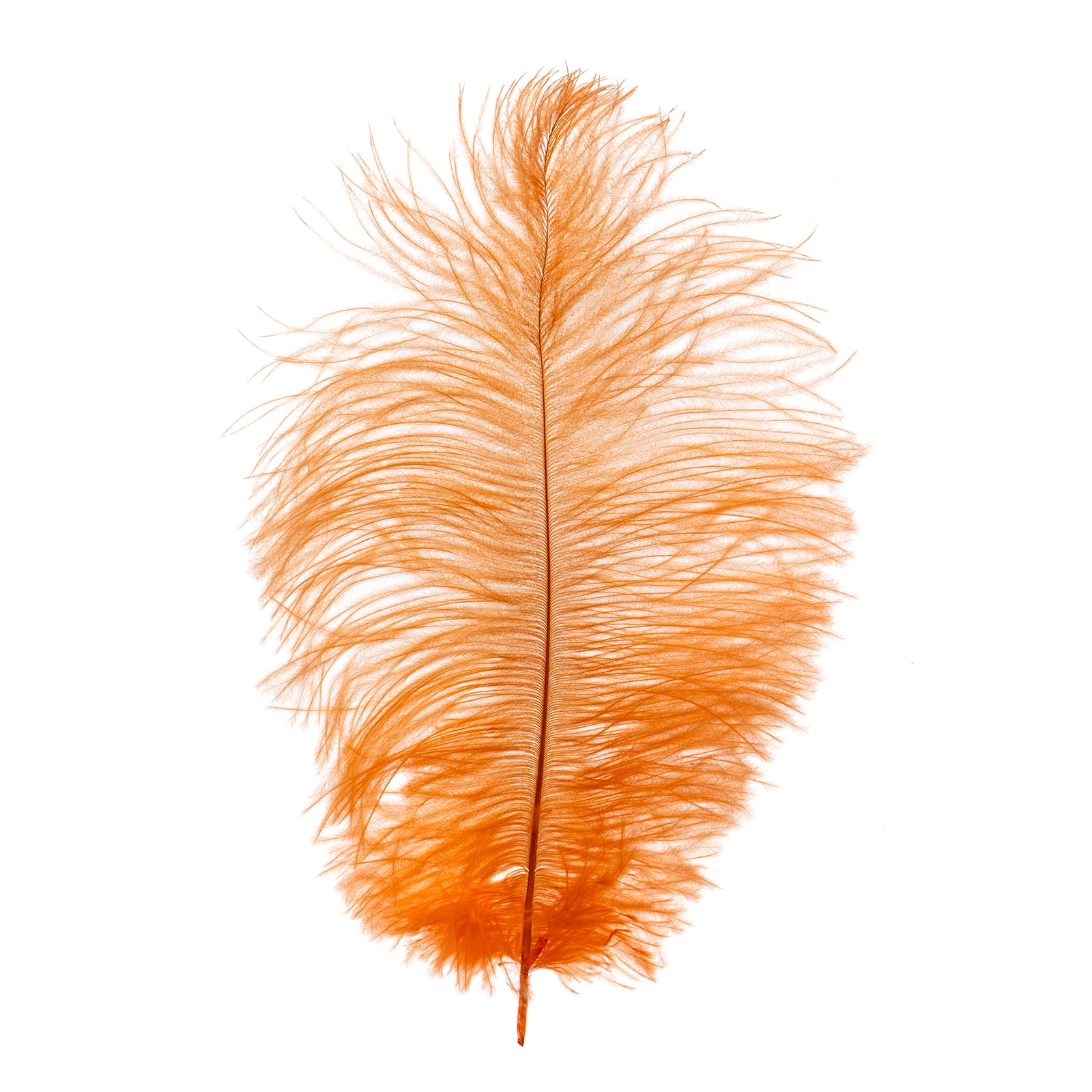 John Bead 11&#x22;-13&#x22; Ostrich Drab Feather