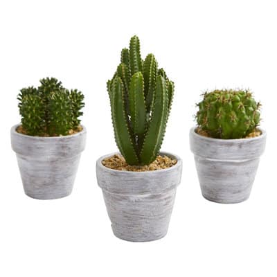 8" Assorted Potted Cactus Plant, 3ct.