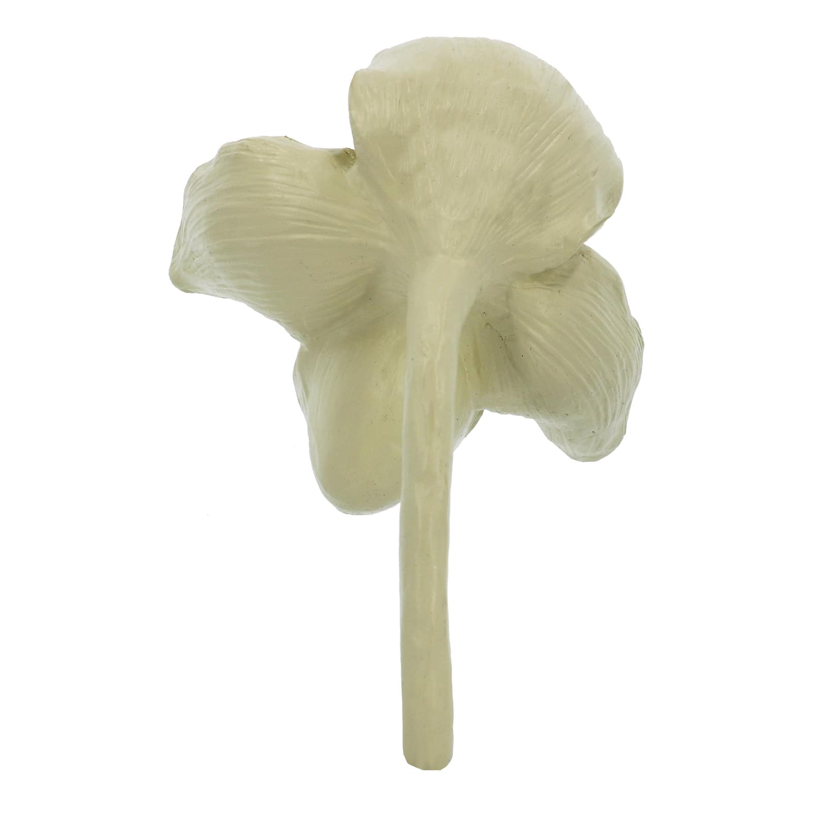 7.75&#x22; Cream Flower D&#xE9;cor by Ashland&#xAE;