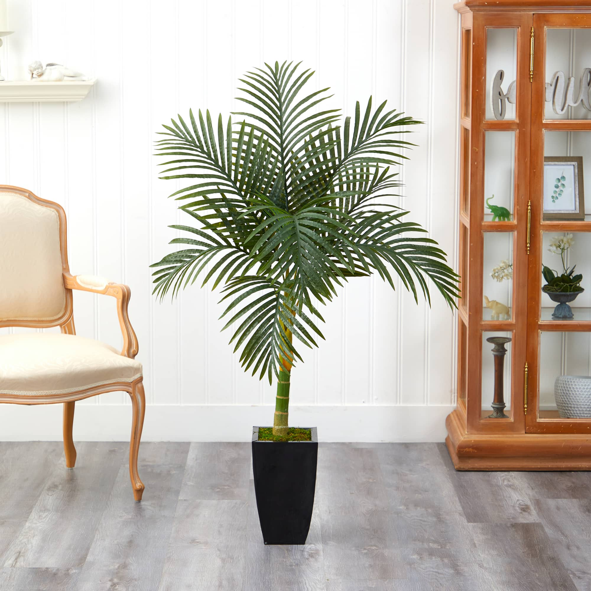 4.5ft. Golden Cane Palm Tree in Black Metal Planter