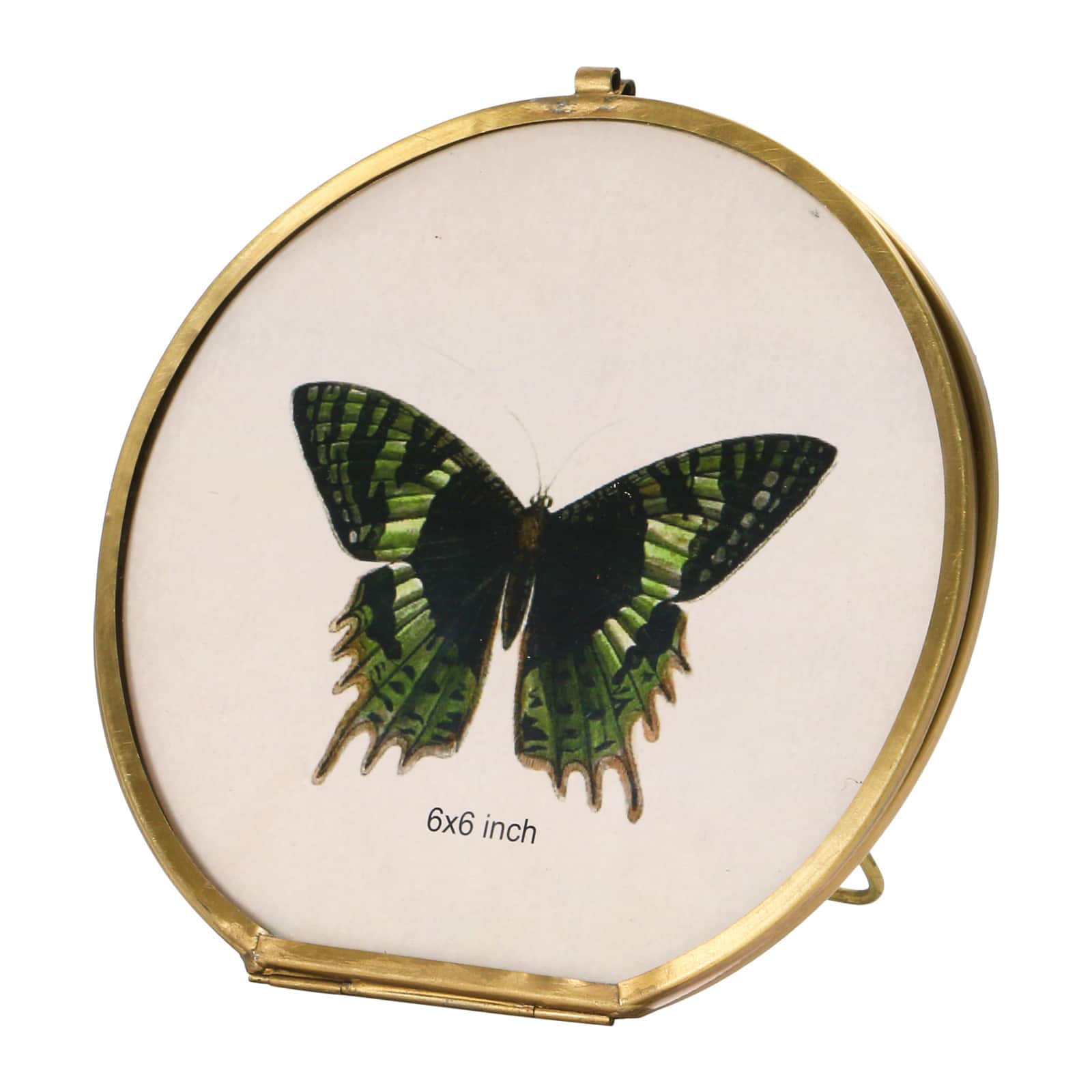 Hello Honey&#xAE; Brass &#x26; Glass 5.5&#x22; x 5.5&#x22; Photo Frame