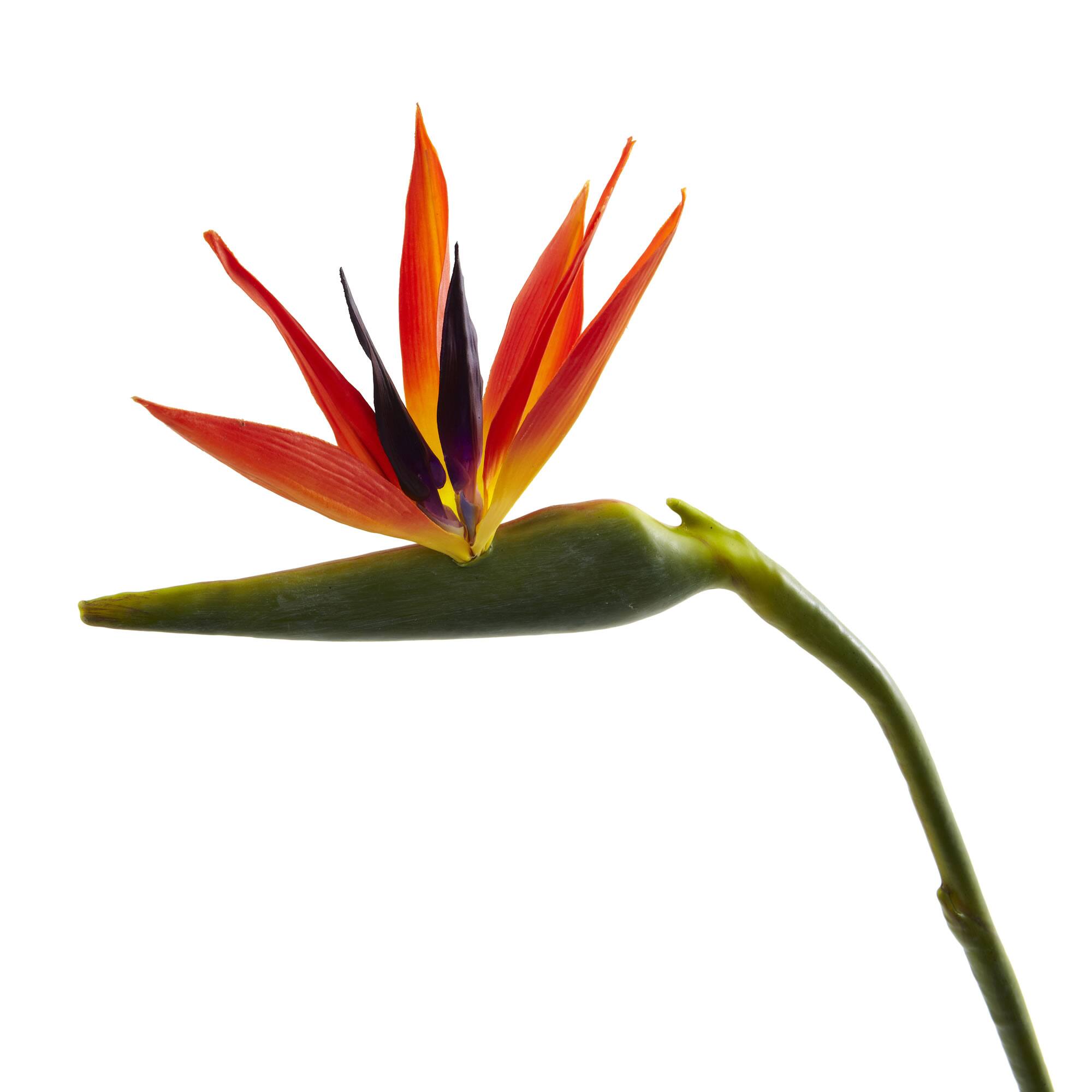 Large Artificial Bird of Paradise Stem, 4ct.