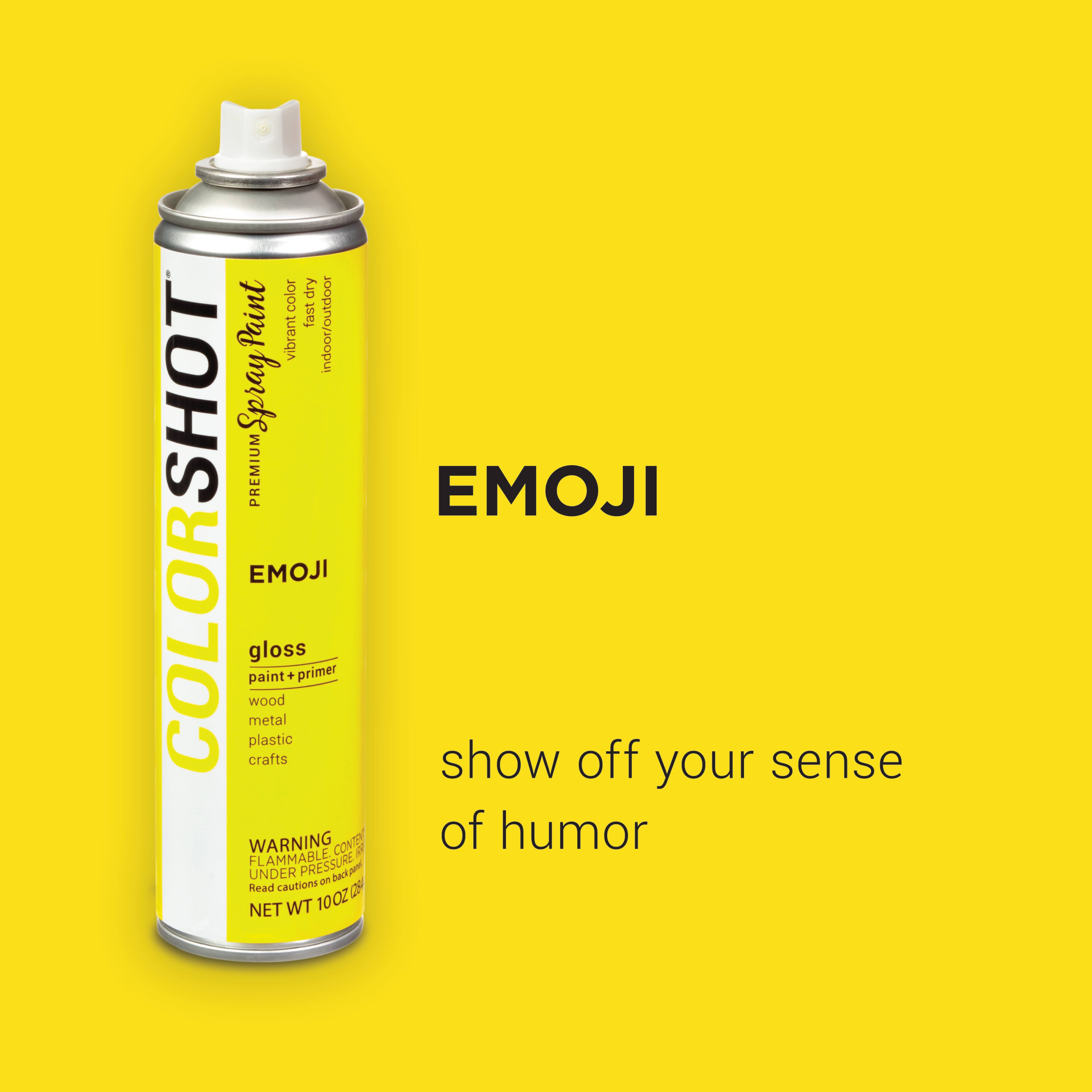 COLORSHOT® Premium Gloss Spray Paint
