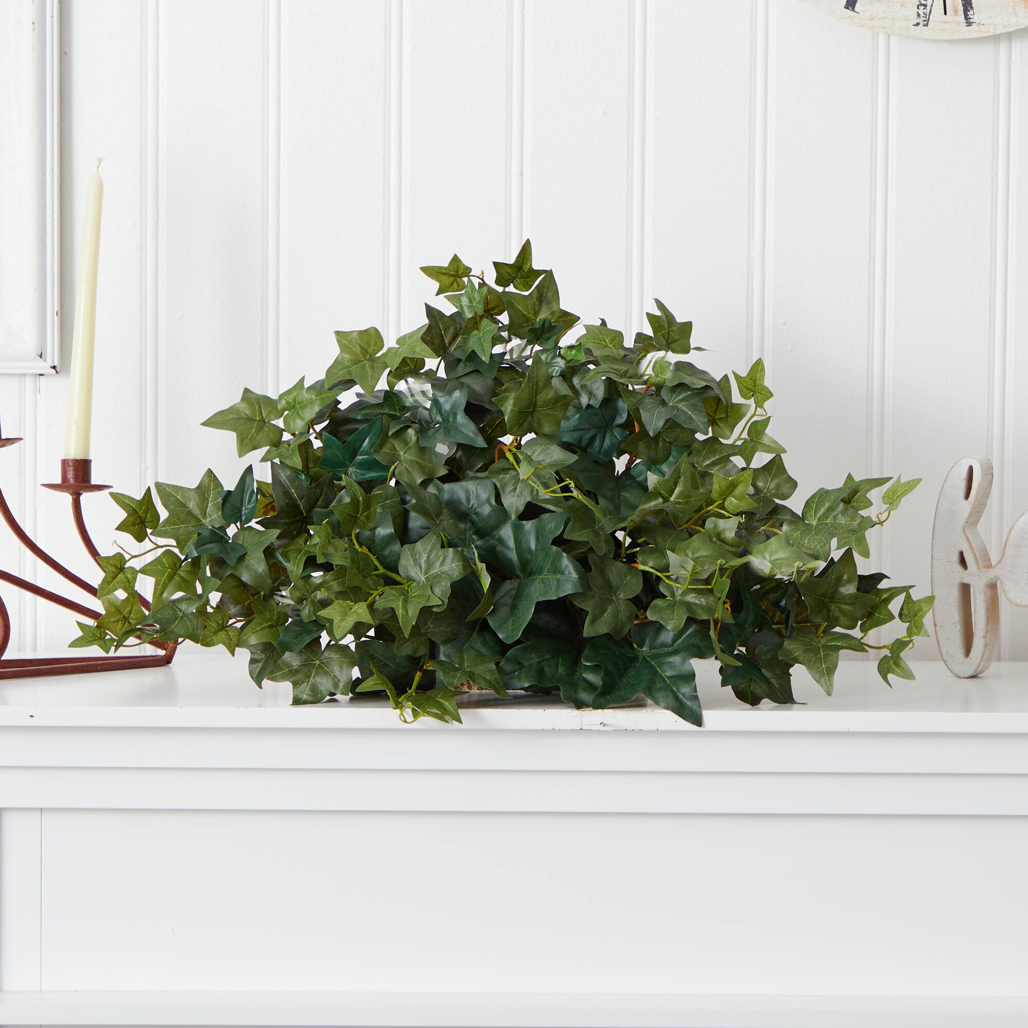 14&#x22; Ivy Ledge Plant with Moss