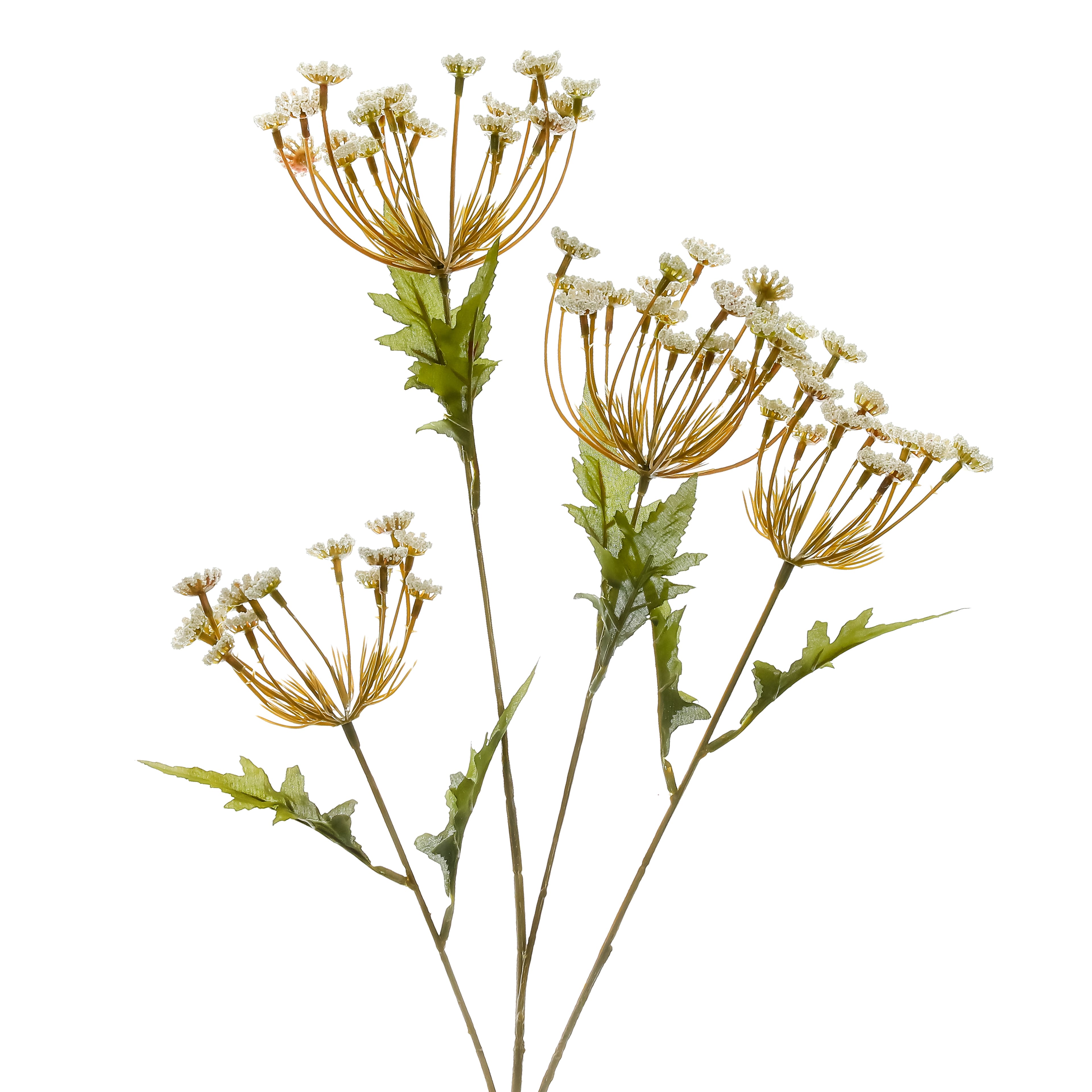36&#x22; Cream Queen Anne&#x27;s Lace Stem by Ashland&#xAE; 