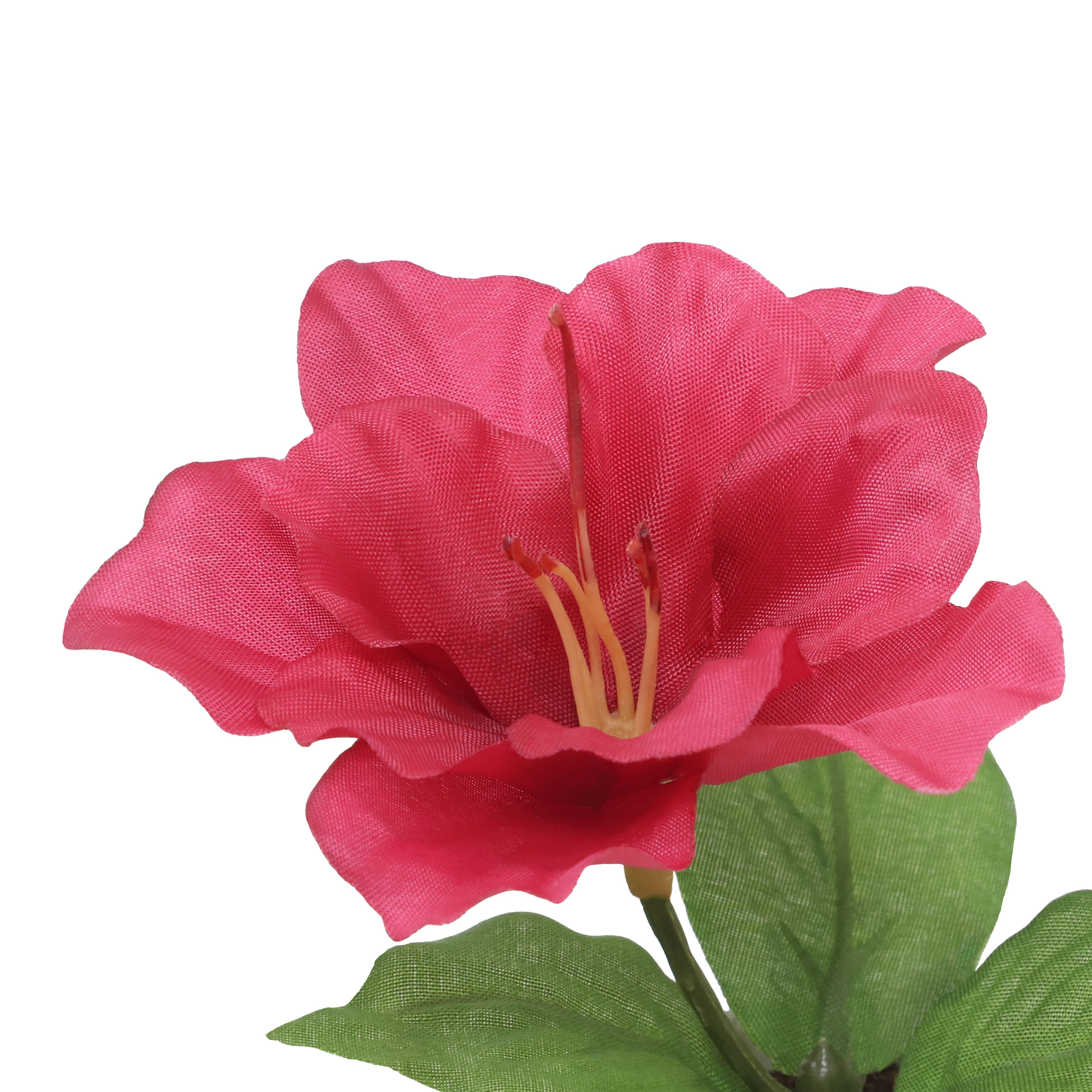 4.5&#x22; Fuchsia Azalea Arrangement in White Container by Ashland&#xAE;