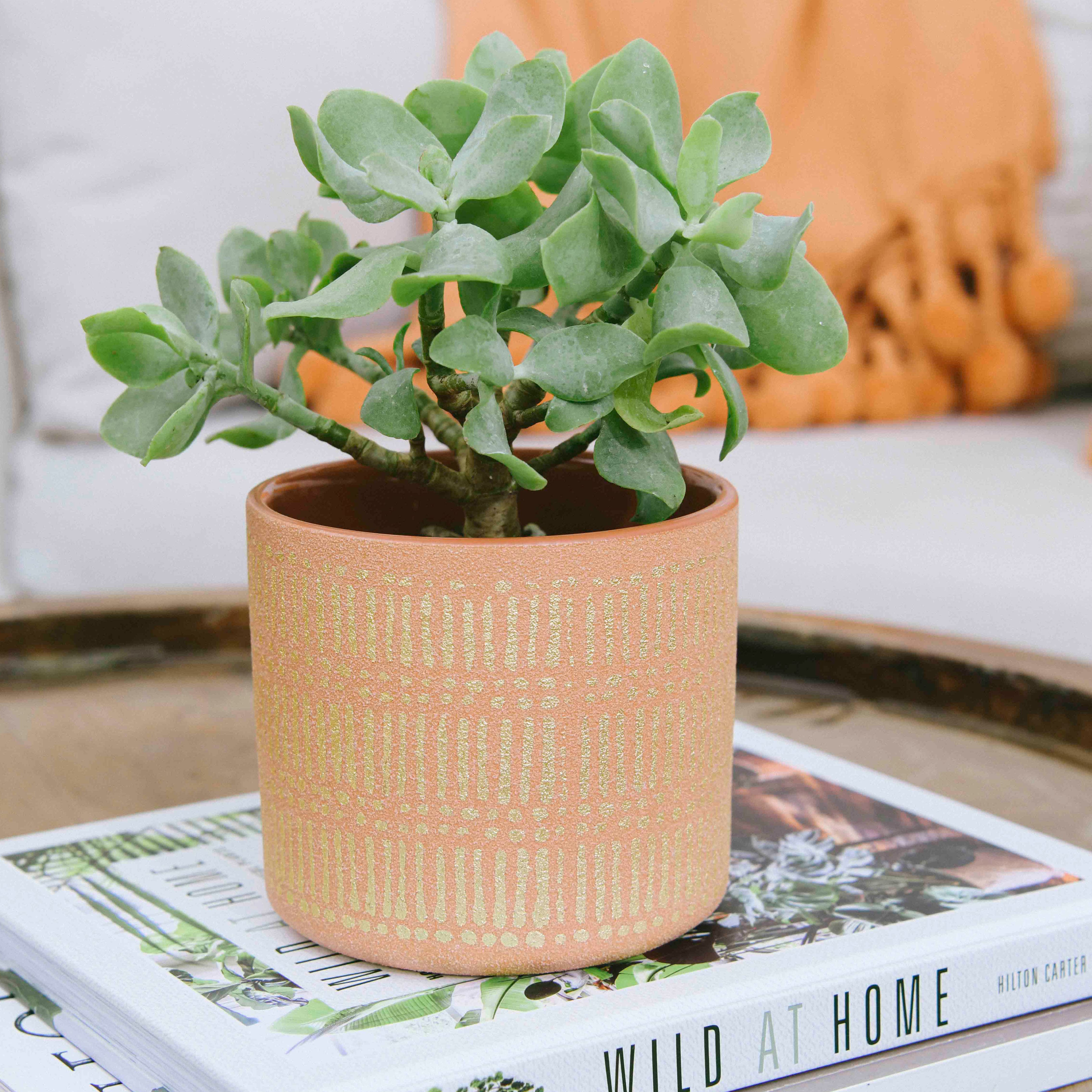 Coral Stoneware Pots with Gold Pattern Set