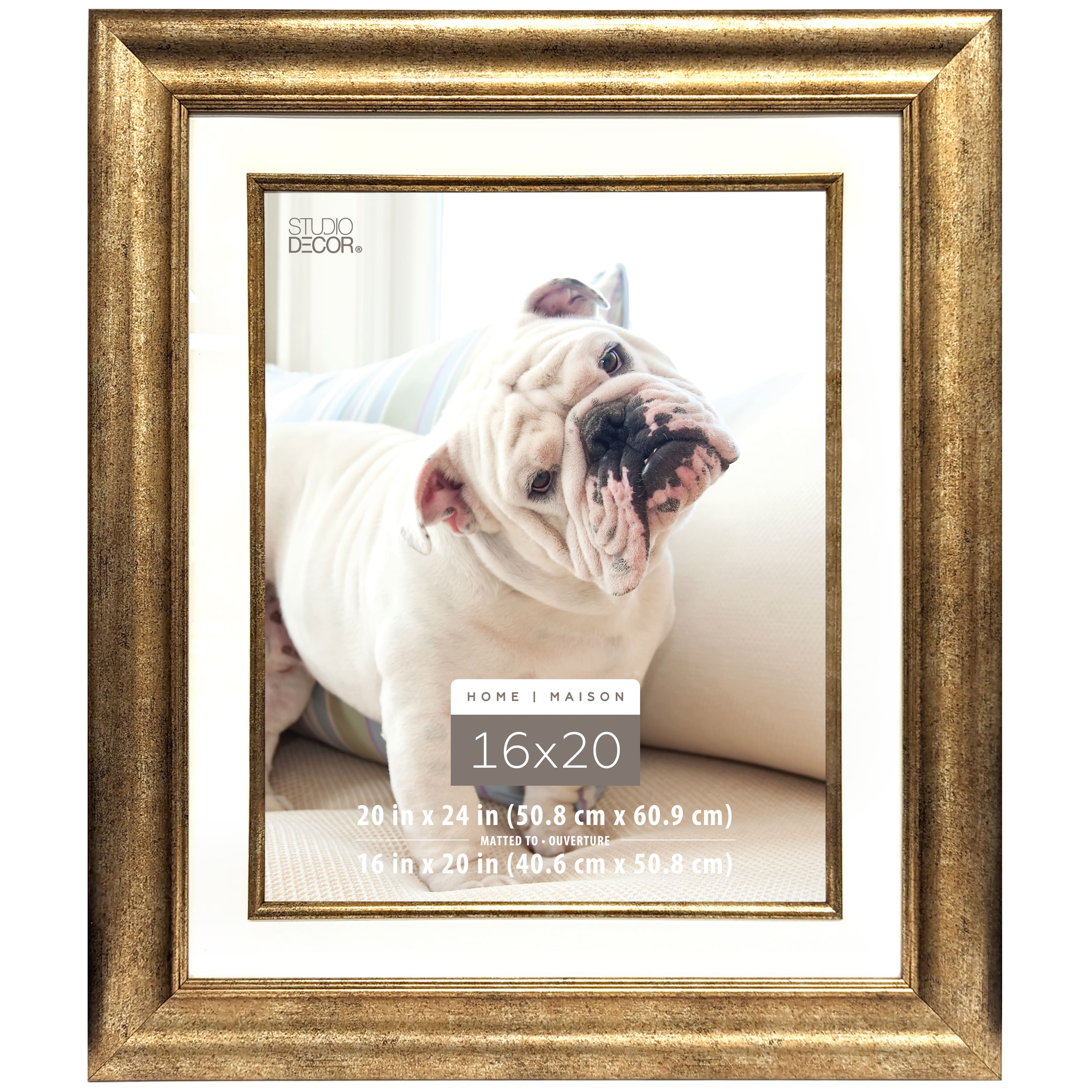 Champagne Frame, 20&#x22; x 24&#x22; With 16&#x22; x 20&#x22; Mat, Home Collection By Studio D&#xE9;cor&#xAE;