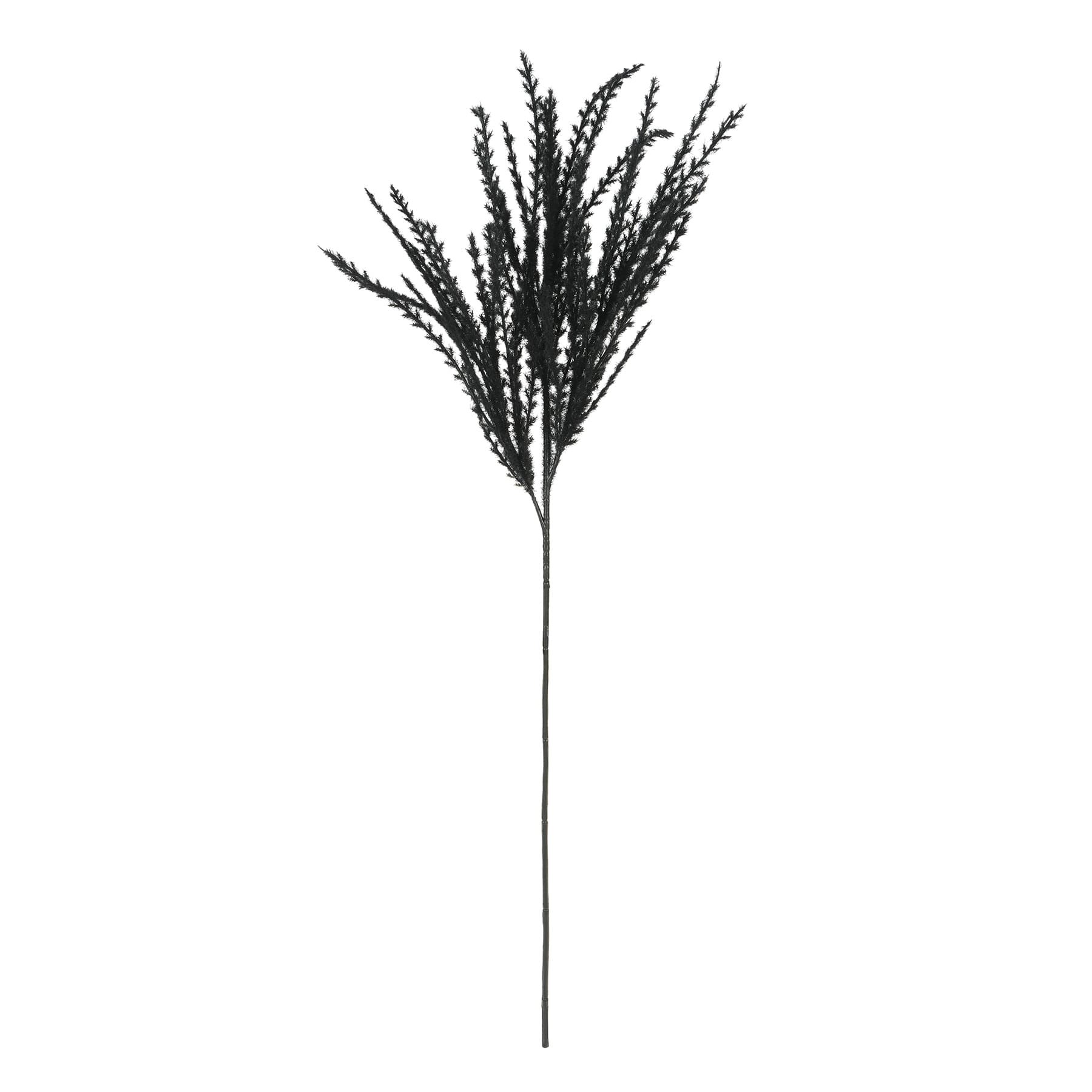 30 Pampas Grass Branch: Black [158447] 