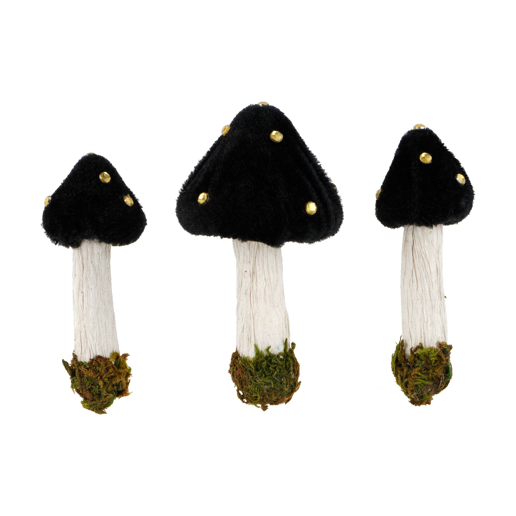 Black Mushroom Set by Ashland&#xAE;