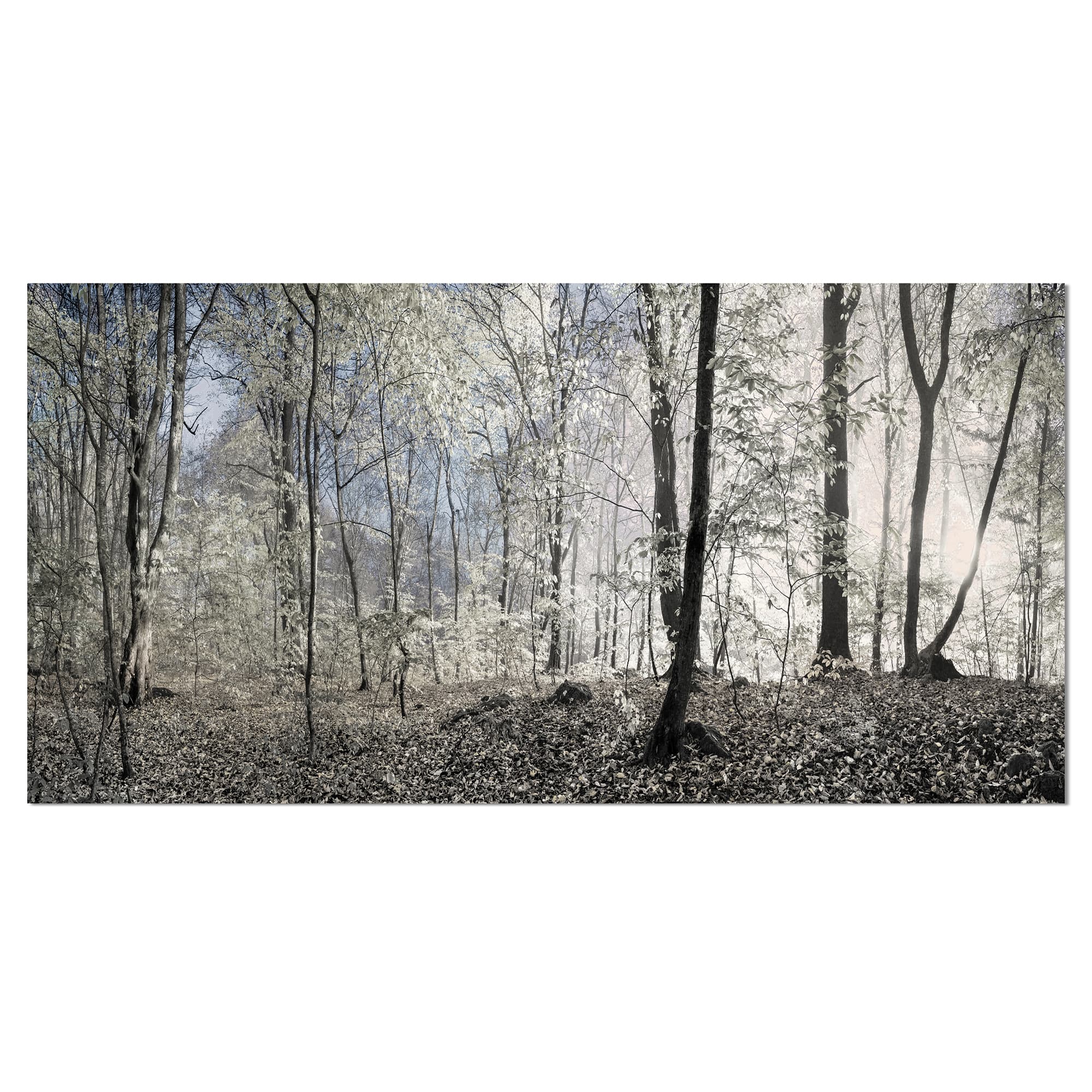 Designart - Dark Morning in Forest Panorama - Landscape Canvas Art Print