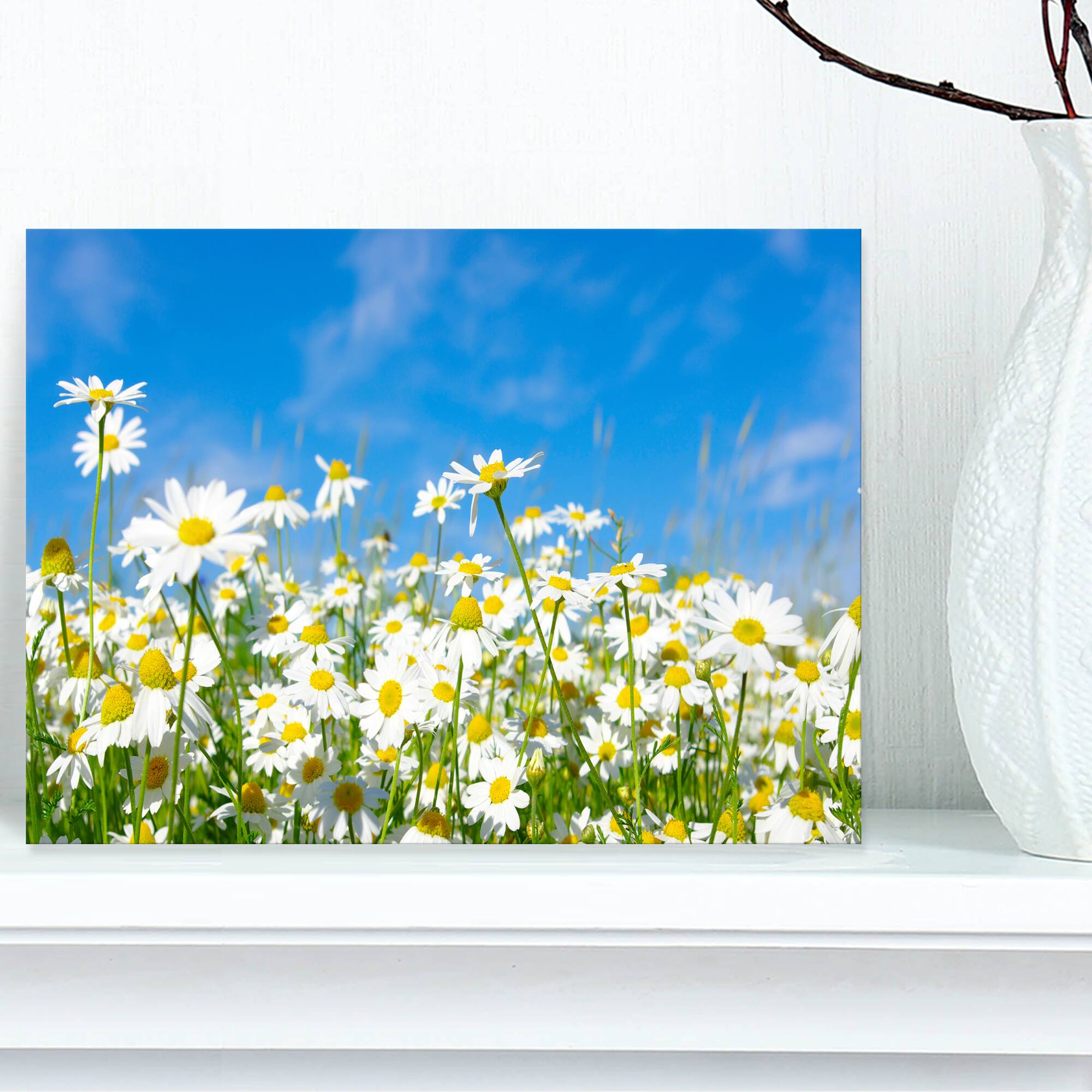 Designart - White Daisies under Bright Blue Sky - Floral Canvas Art Print