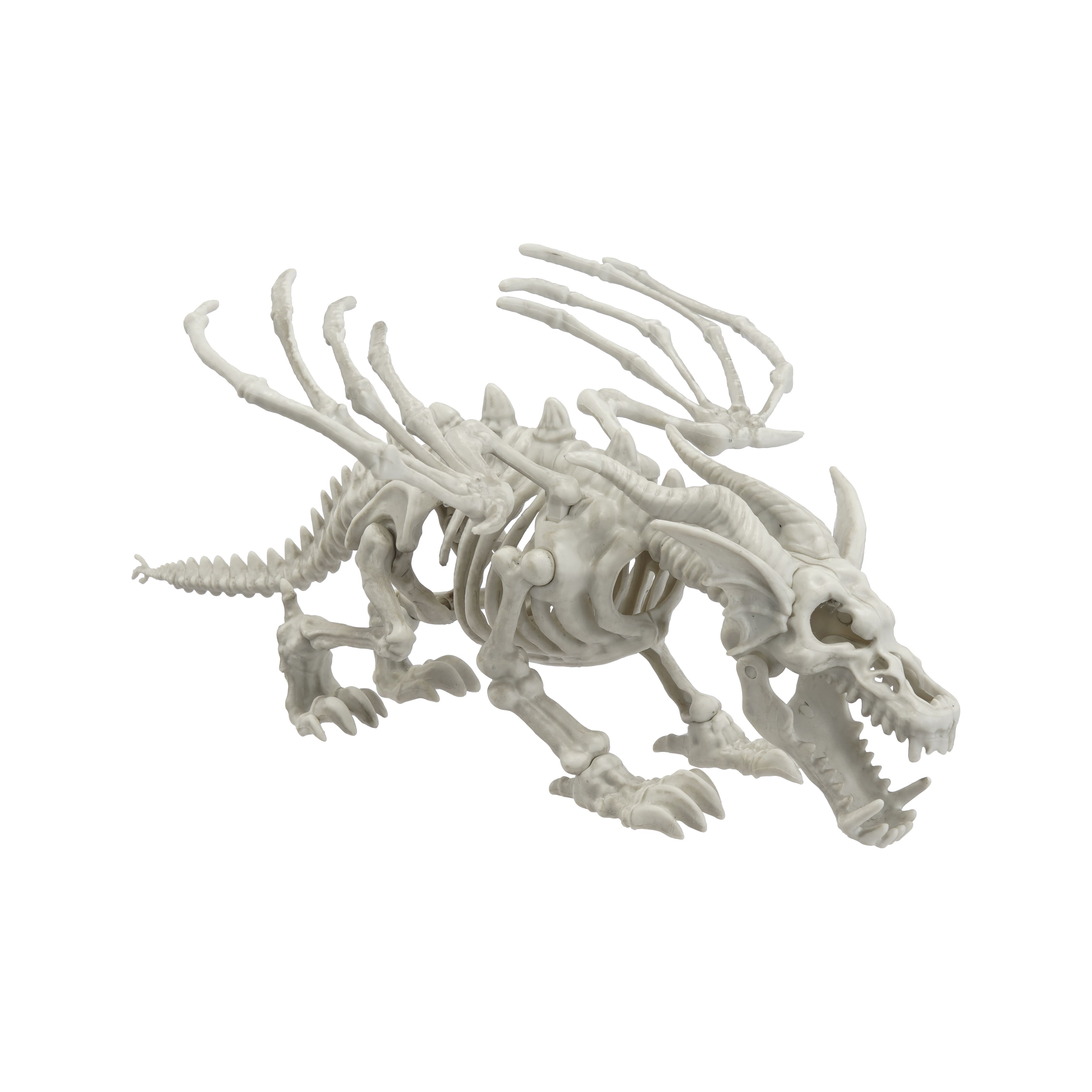 13&#x22; Dragon Skeleton by Ashland&#xAE;