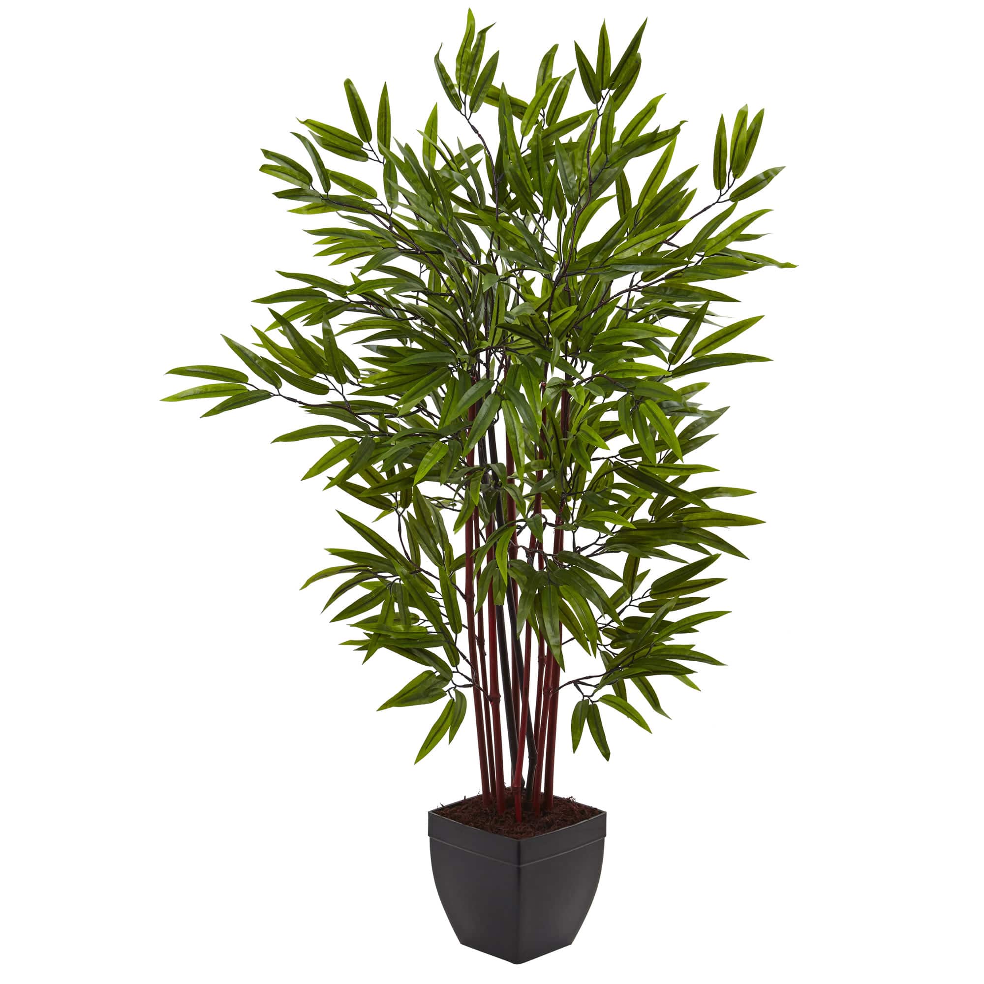 4ft. Potted Bamboo Silk Tree