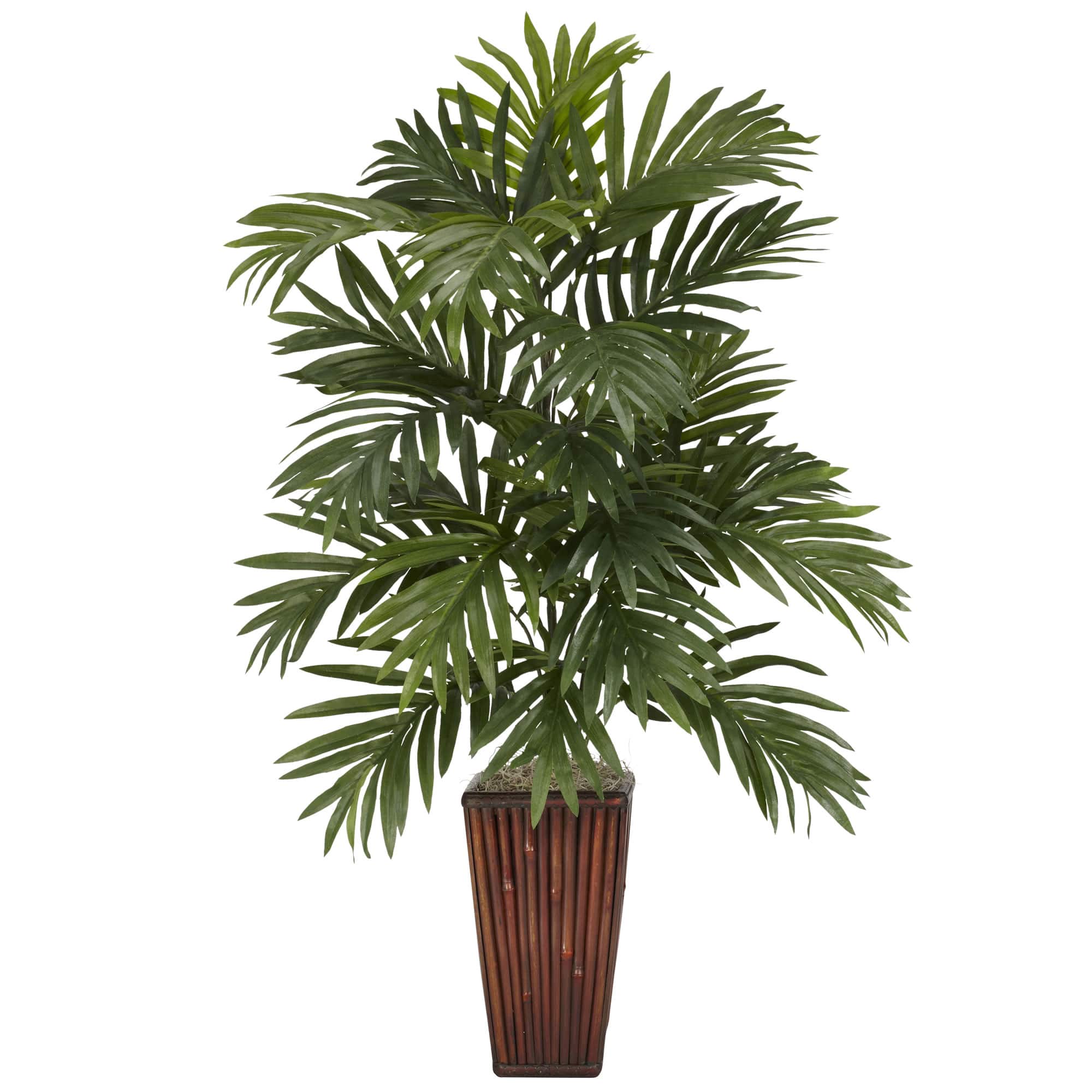 2.6ft. Areca Palm Plant with Bamboo Planter