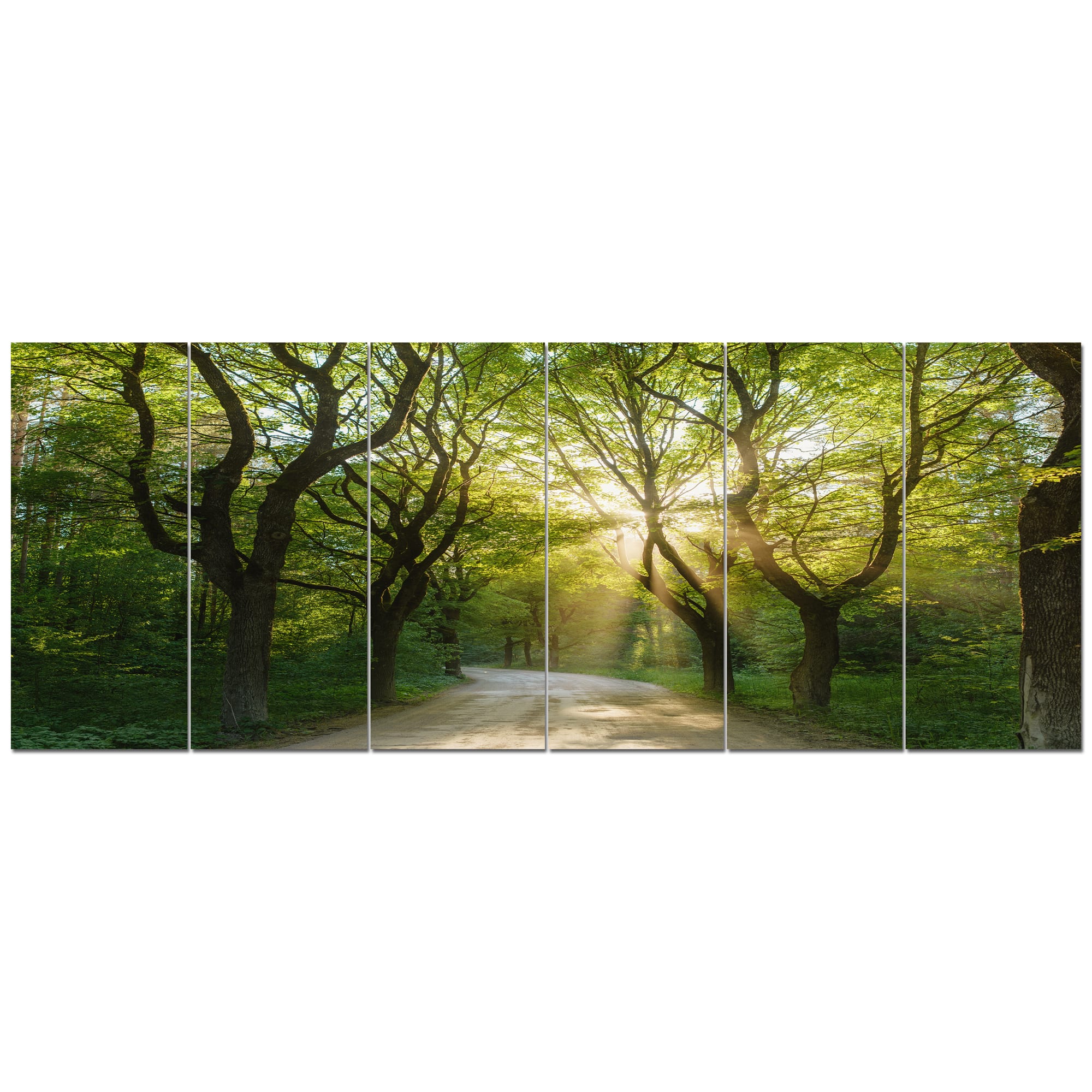 Designart - Evening in Green Forest - Landscape Canvas Art Print