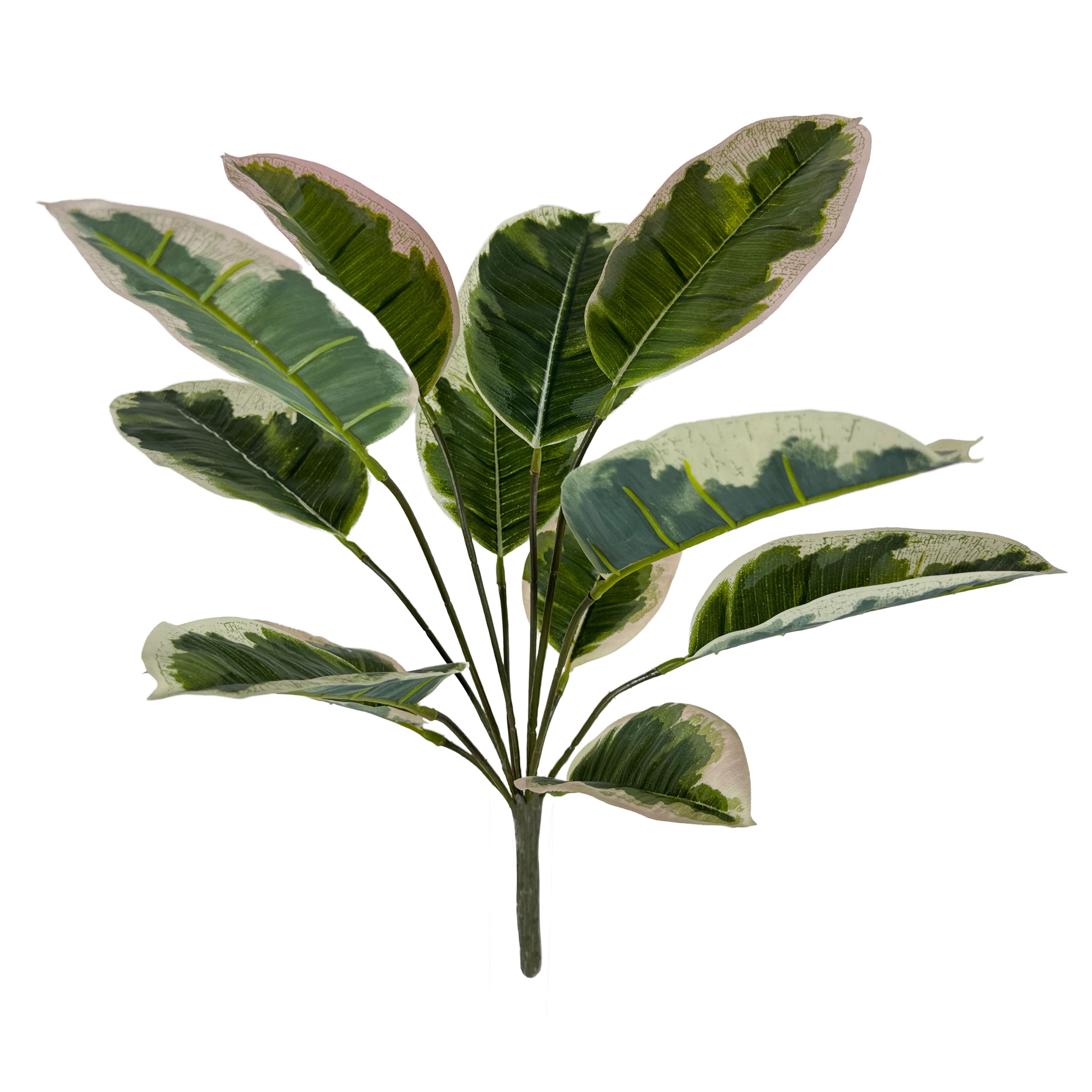 18&#x22; Green &#x26; Pink Ficus Bush by Ashland&#xAE;