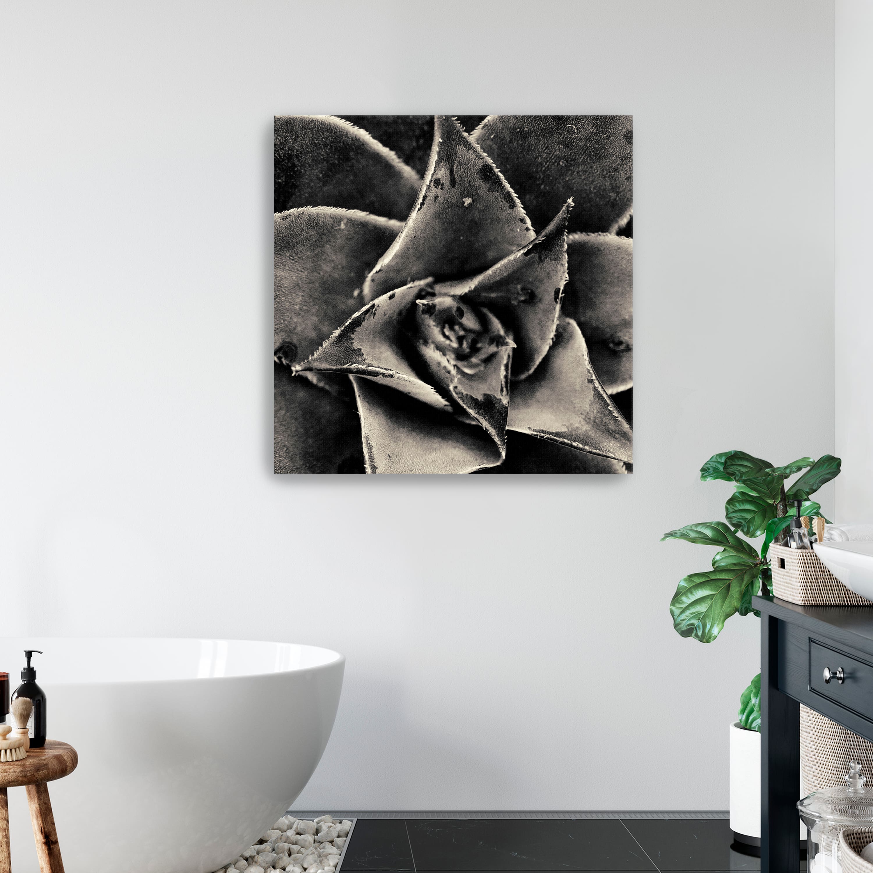 Lumaprints Seattle Succulents Gicl&#xE9;e Canvas