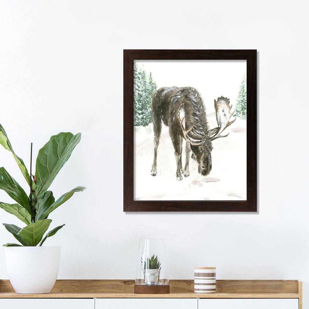 Winter Moose Walnut Framed Print Under Plexiglass