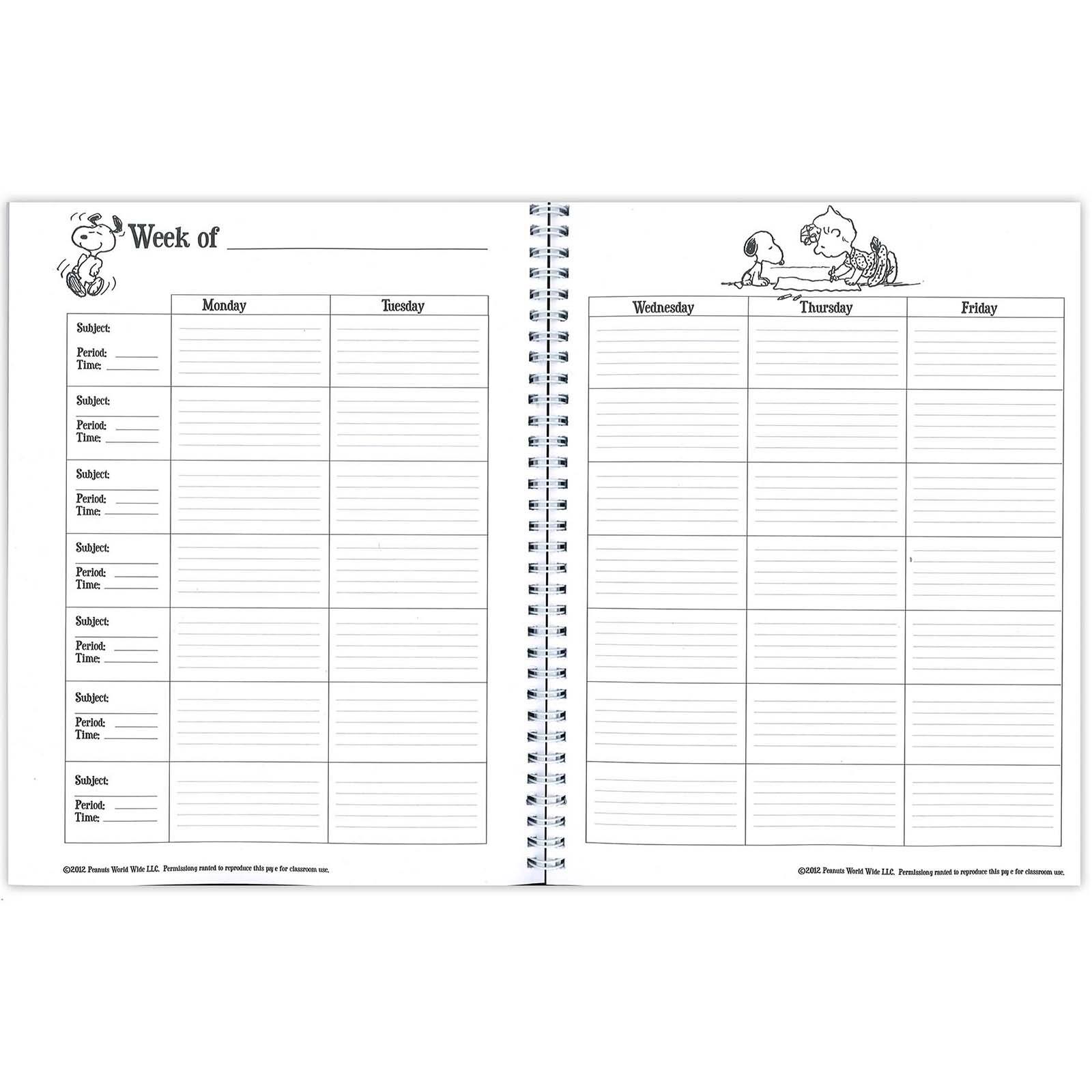 Eureka® Peanuts® Lesson Plan & Record Book, 2 ct.