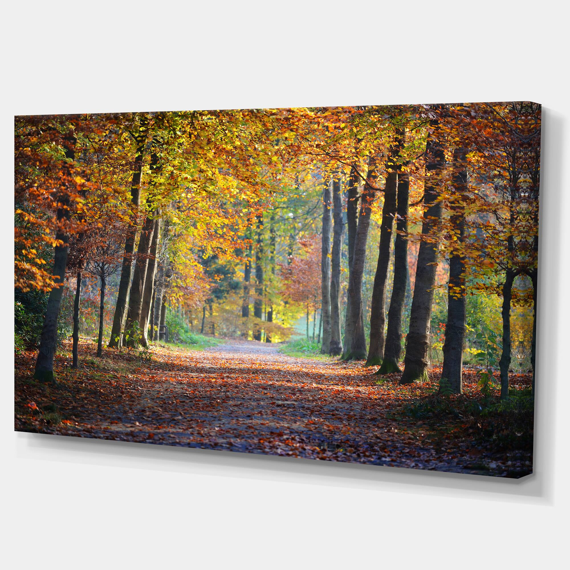 Designart - Wide Pathway in Yellow Fall Forest - Landscape Photography Canvas Print